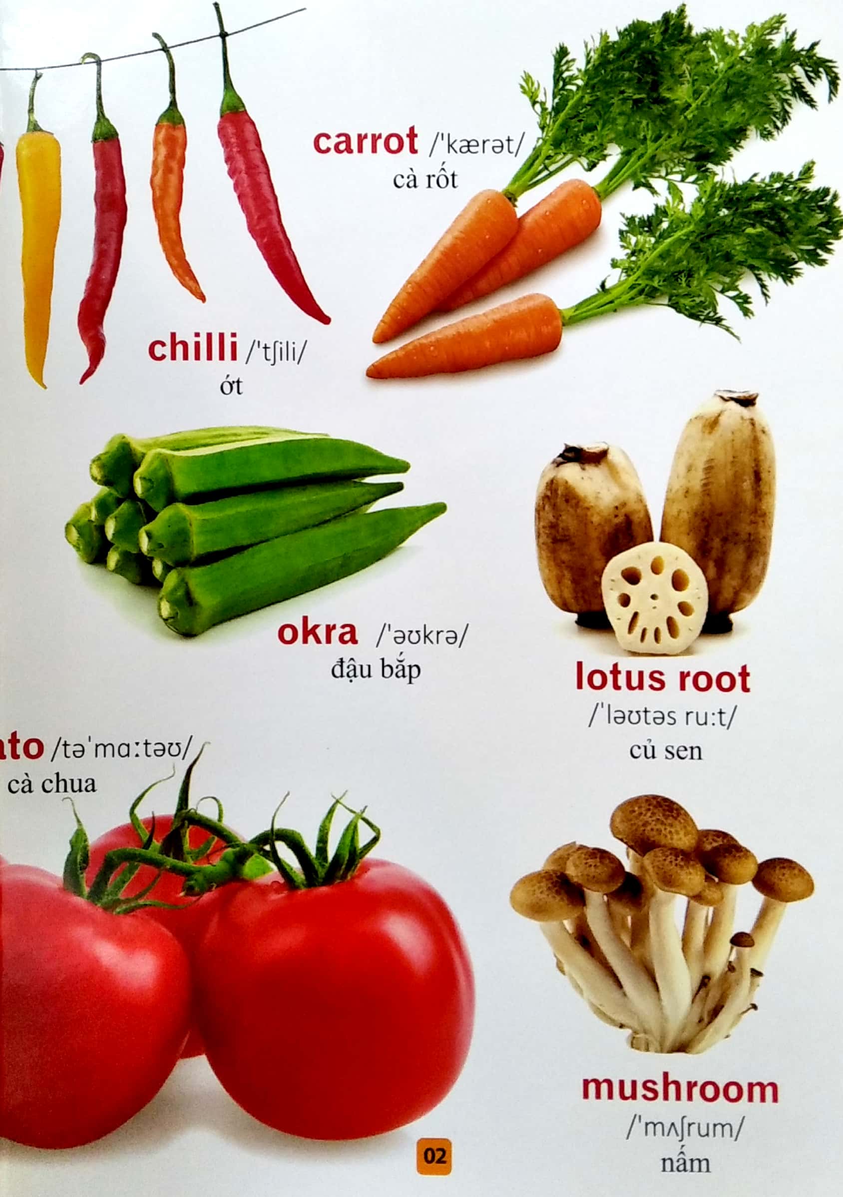 từ điển bằng tranh - rau củ quả (tái bản 2023) - Ảnh 4