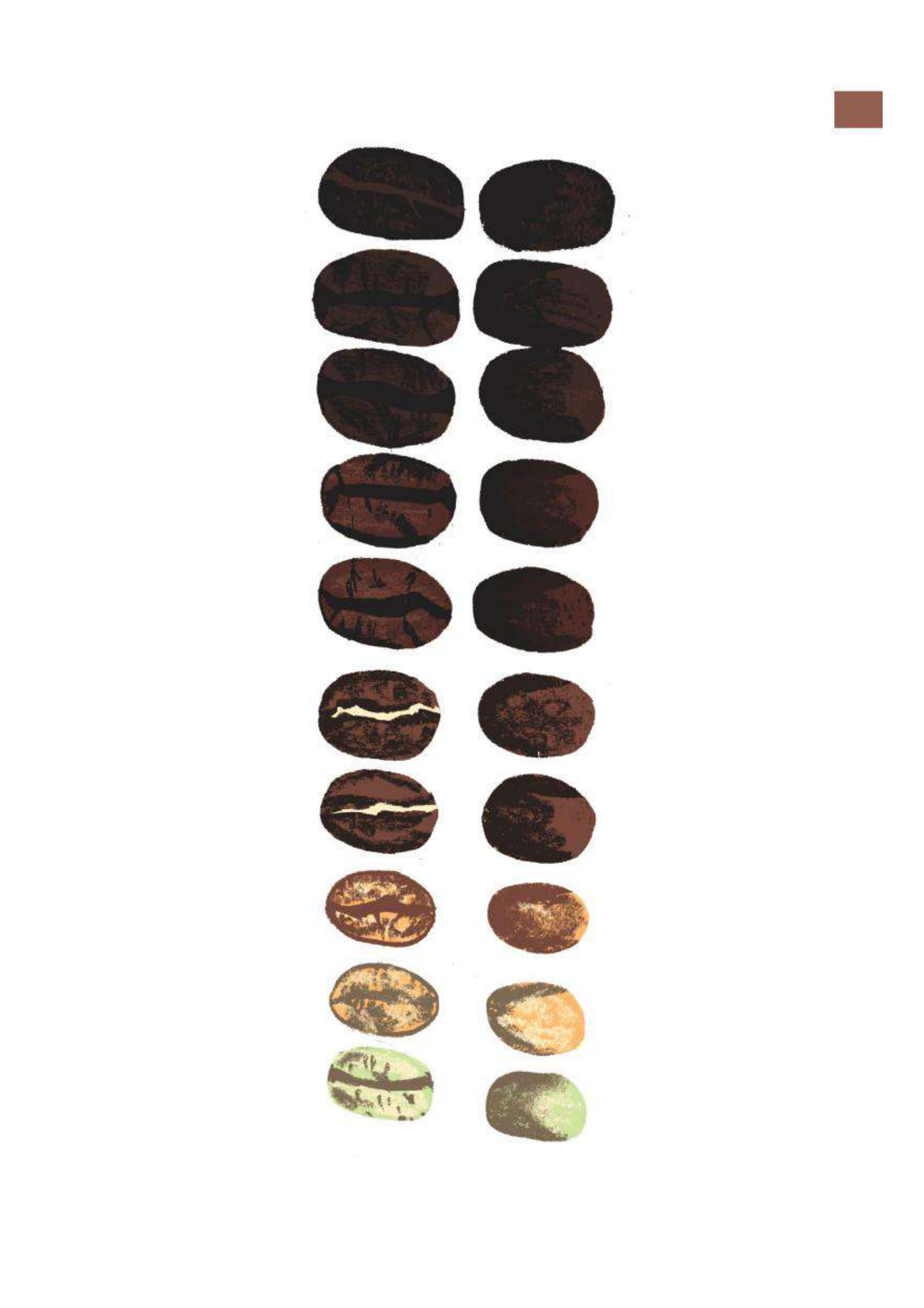 từ điển cà phê - cà phê từ a đến z - bìa cứng - Ảnh 15