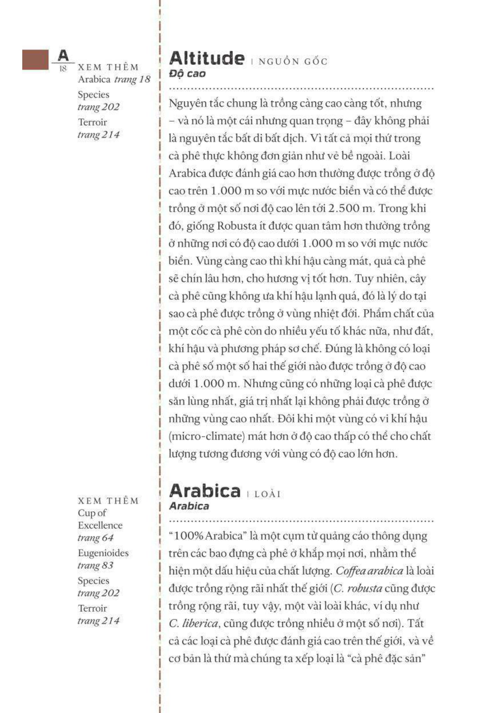 từ điển cà phê - cà phê từ a đến z - bìa cứng - Ảnh 16