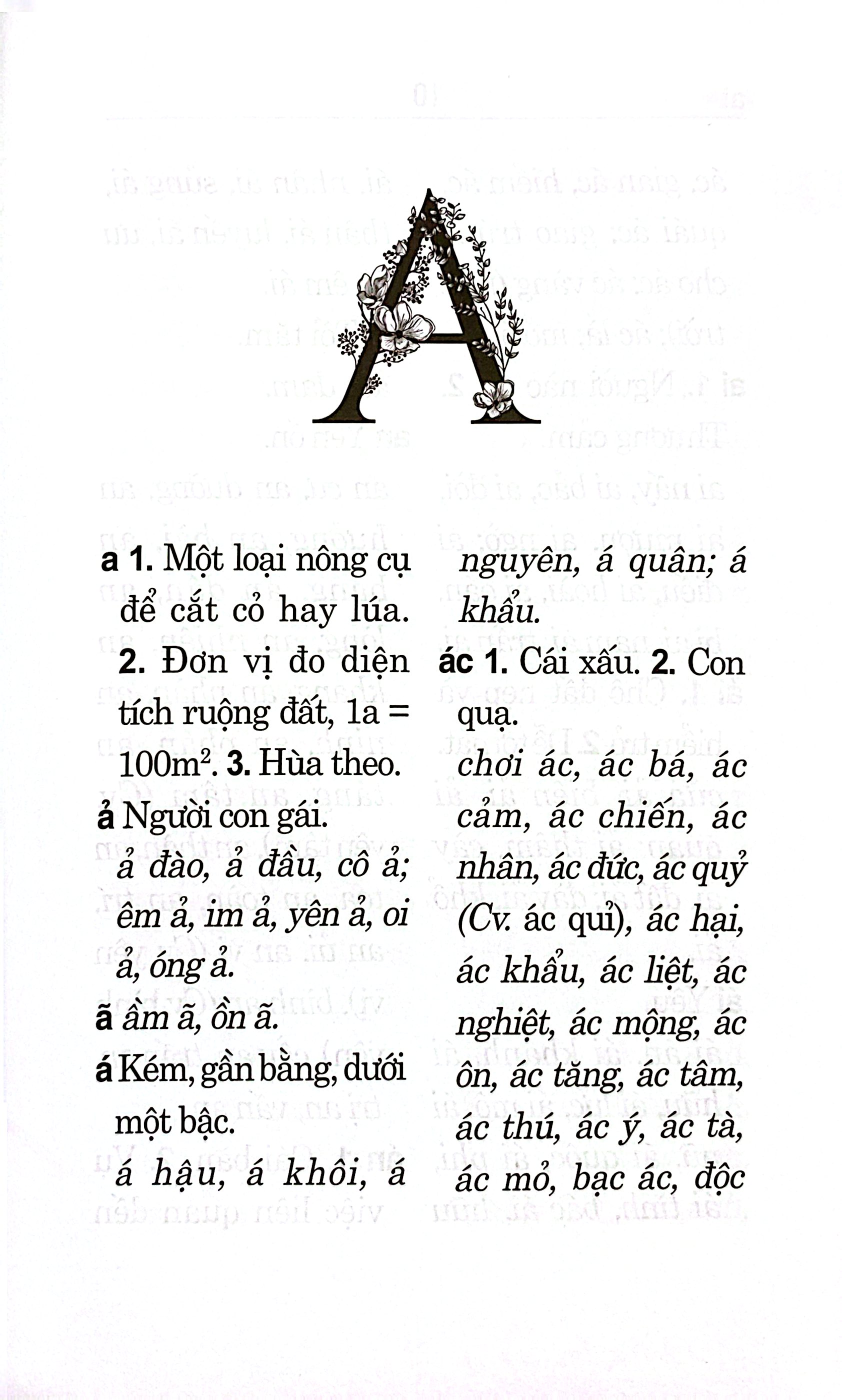 Từ Điển Chính Tả Tiếng Việt - Ảnh 5