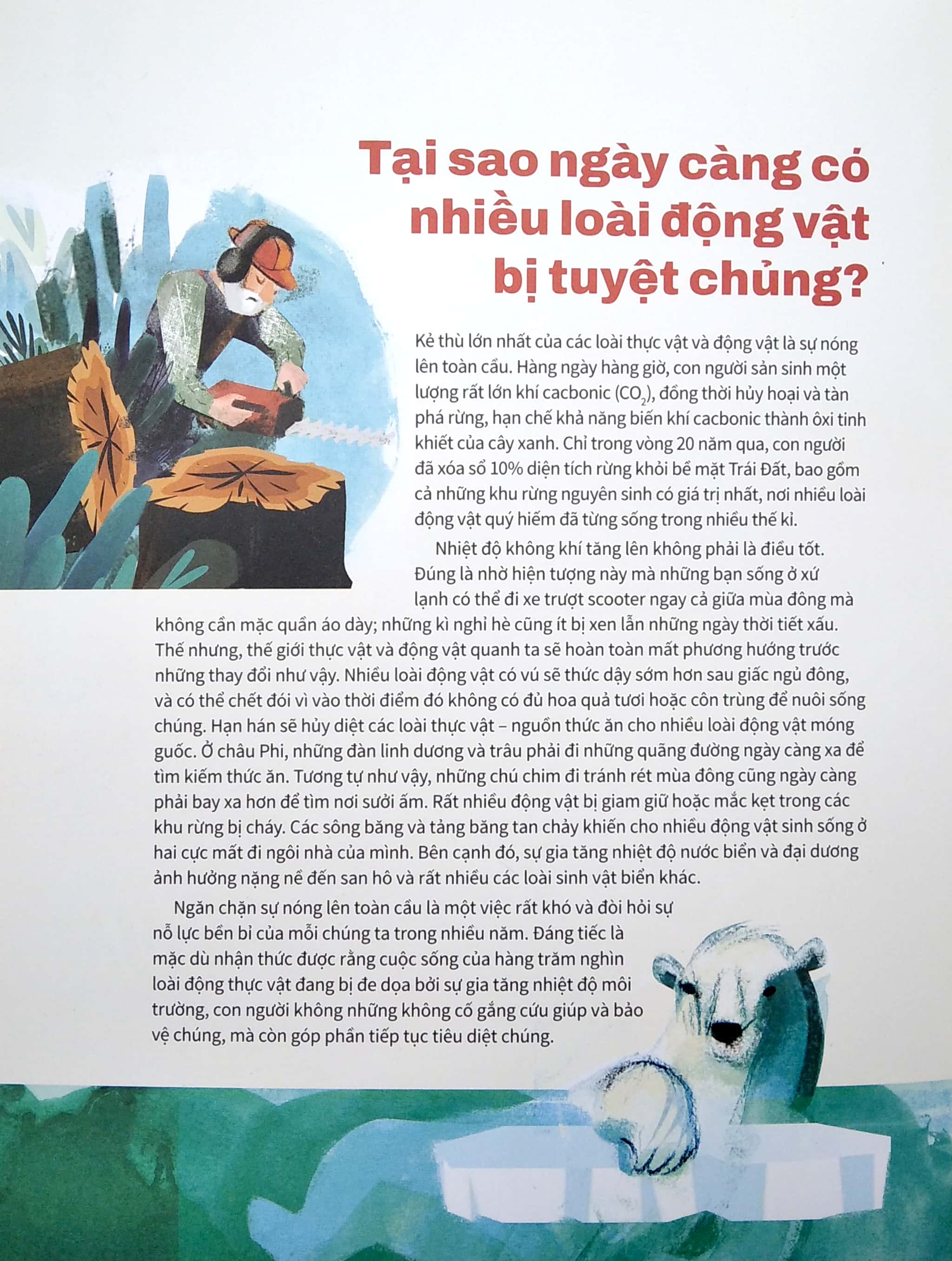 từ điển động vật quý hiếm - 23 sản phẩm đẩy các loài sinh vật đến bờ vực tuyệt chủng - Ảnh 5