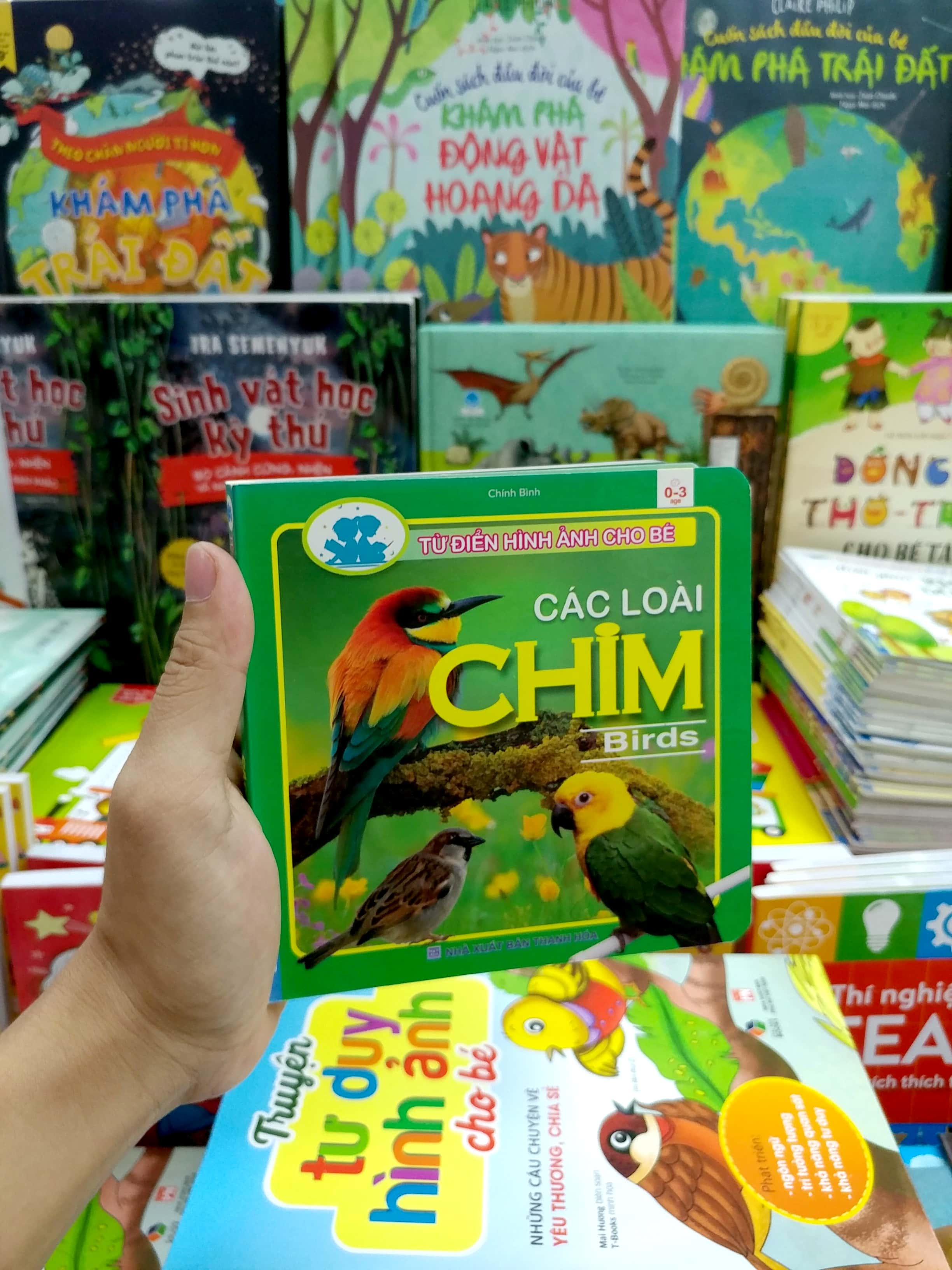 từ điển hình ảnh cho bé - các loài chim - Ảnh 7