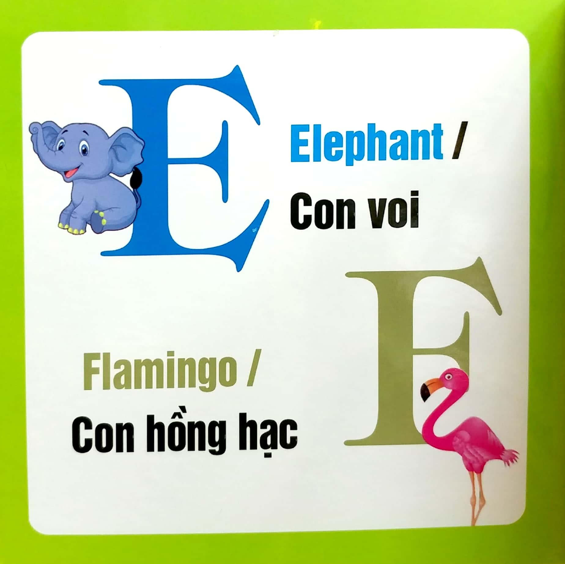 từ điển hình ảnh cho bé - chữ cái tiếng anh - Ảnh 5