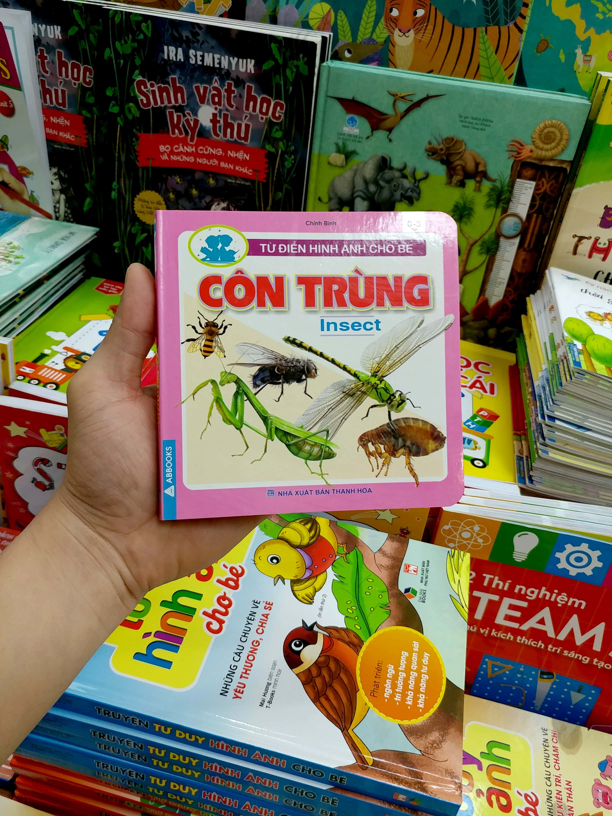 từ điển hình ảnh cho bé - côn trùng - Ảnh 7
