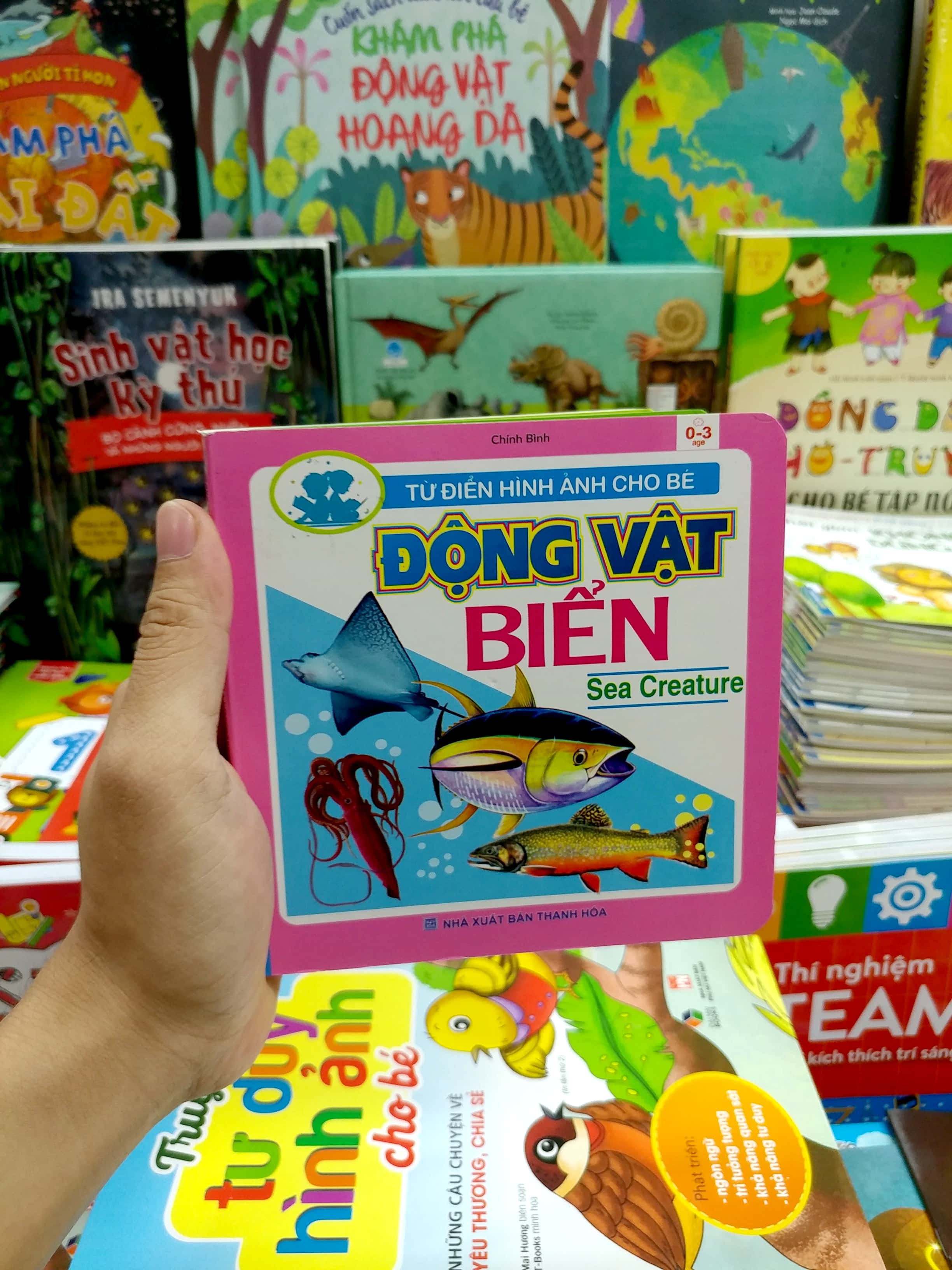 từ điển hình ảnh cho bé - động vật biển - Ảnh 7