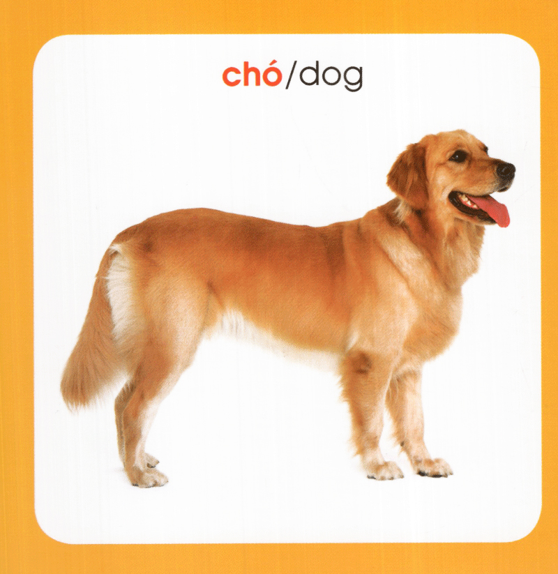 từ điển hình ảnh cho bé - động vật (tái bản 2019) - Ảnh 10