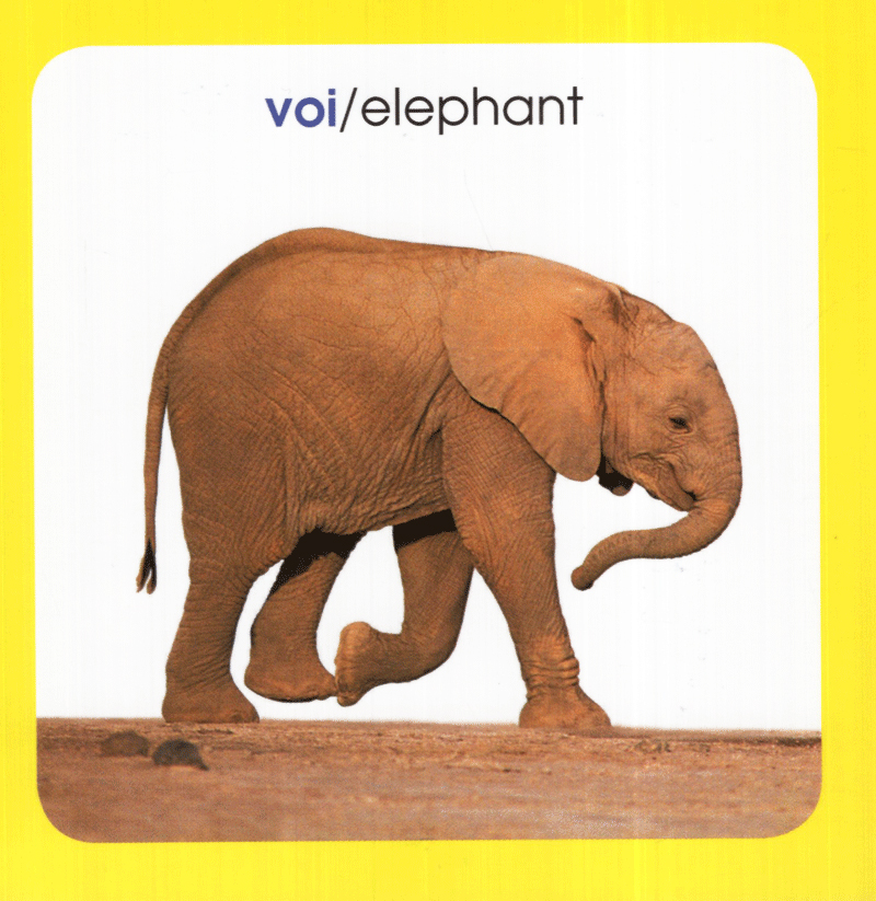 từ điển hình ảnh cho bé - động vật (tái bản 2019) - Ảnh 3