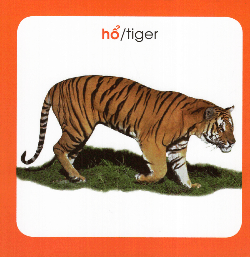 từ điển hình ảnh cho bé - động vật (tái bản 2019) - Ảnh 4