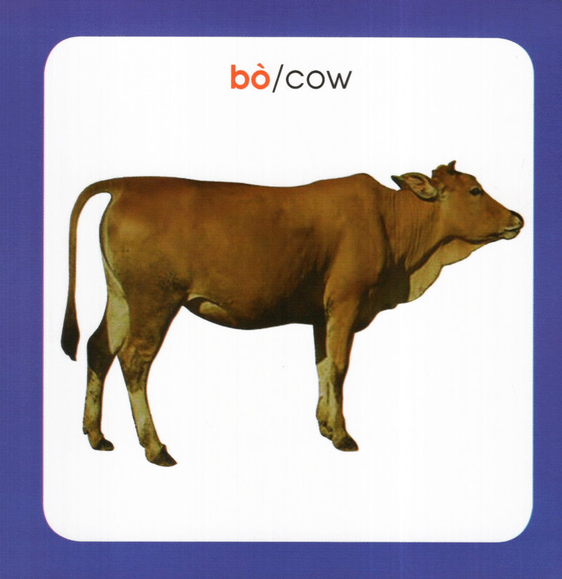 từ điển hình ảnh cho bé - động vật (tái bản 2019) - Ảnh 6