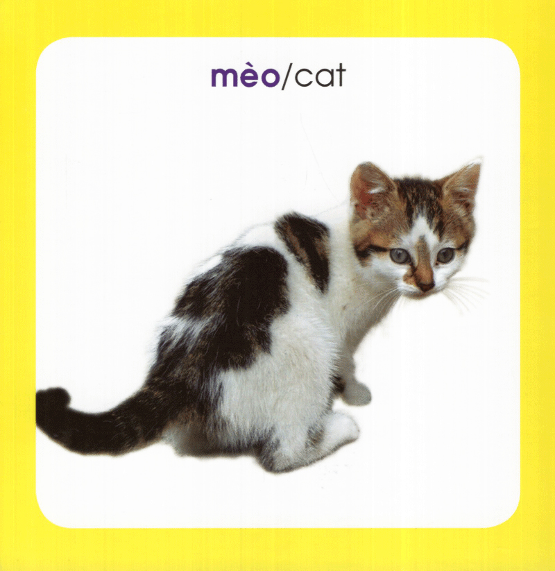 từ điển hình ảnh cho bé - động vật (tái bản 2019) - Ảnh 9