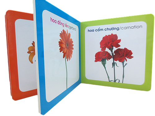 từ điển hình ảnh cho bé - hoa (tái bản 2019) - Ảnh 2