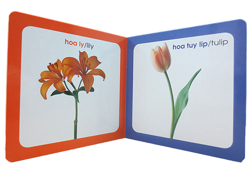 từ điển hình ảnh cho bé - hoa (tái bản 2019) - Ảnh 3