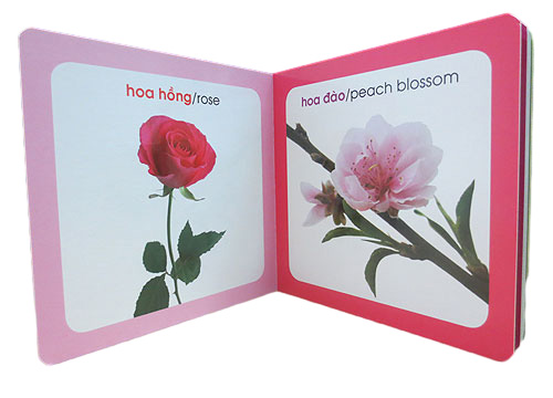 từ điển hình ảnh cho bé - hoa (tái bản 2019) - Ảnh 4