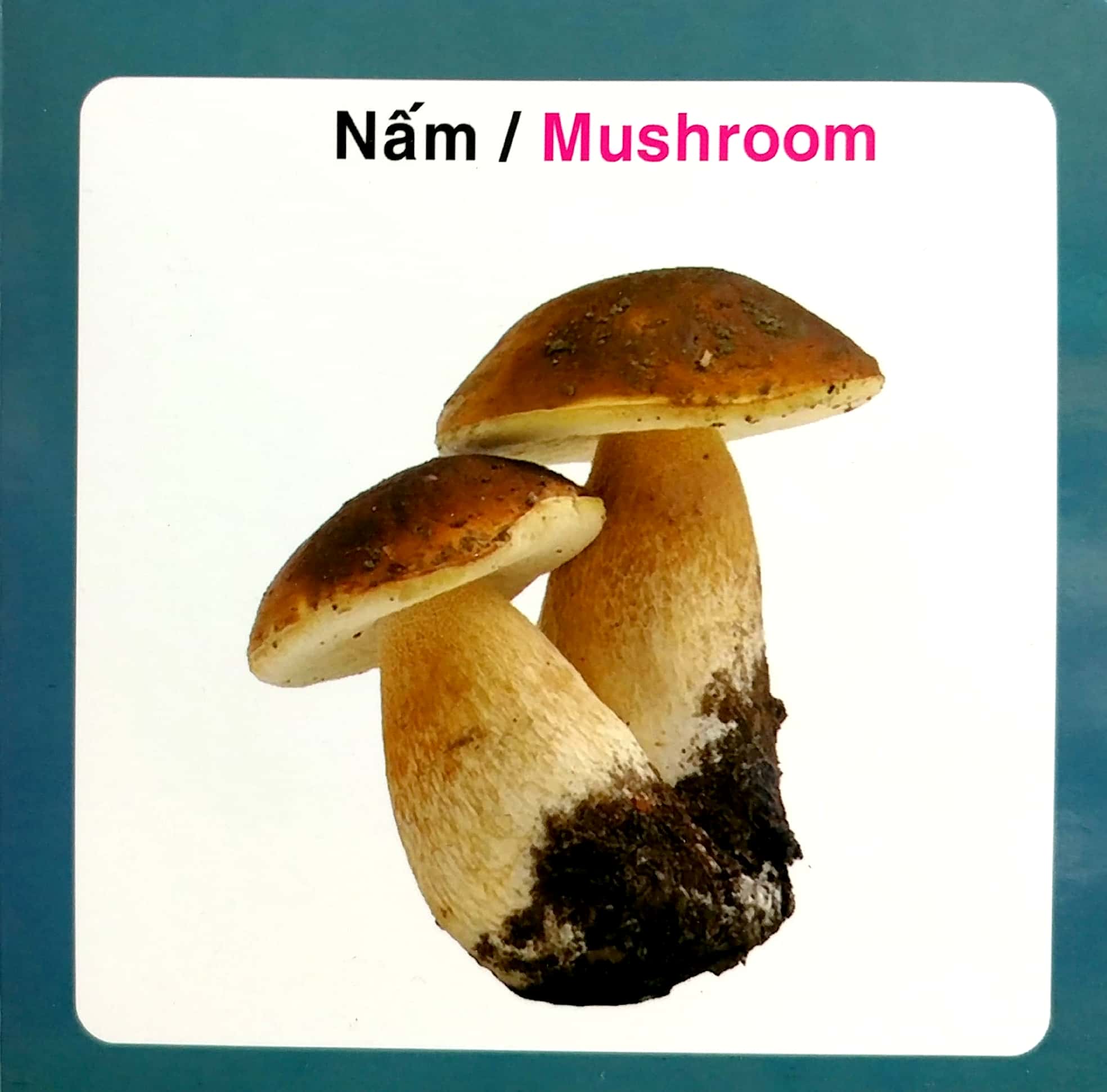 từ điển hình ảnh cho bé - rau củ - Ảnh 4