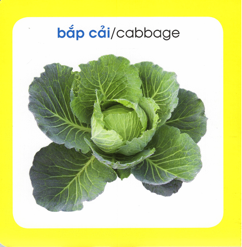 từ điển hình ảnh cho bé - rau củ (tái bản 2019) - Ảnh 3