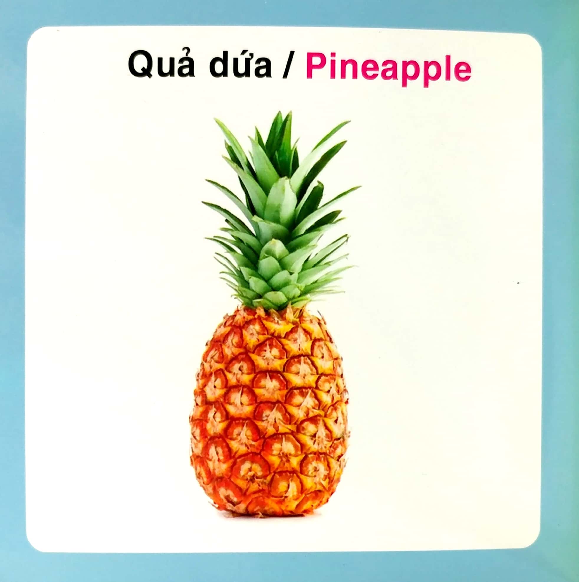 từ điển hình ảnh cho bé - trái cây - Ảnh 5