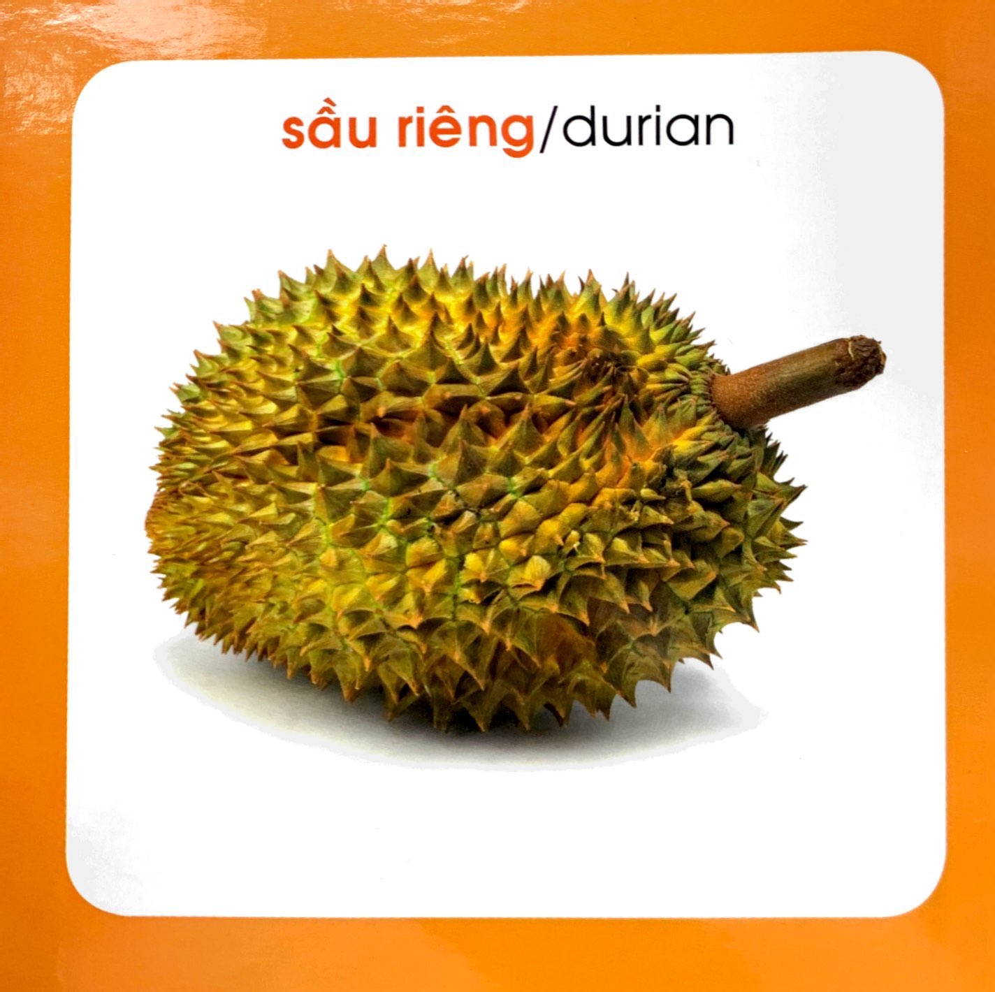 từ điển hình ảnh cho bé - trái cây (tái bản 2019) - Ảnh 4