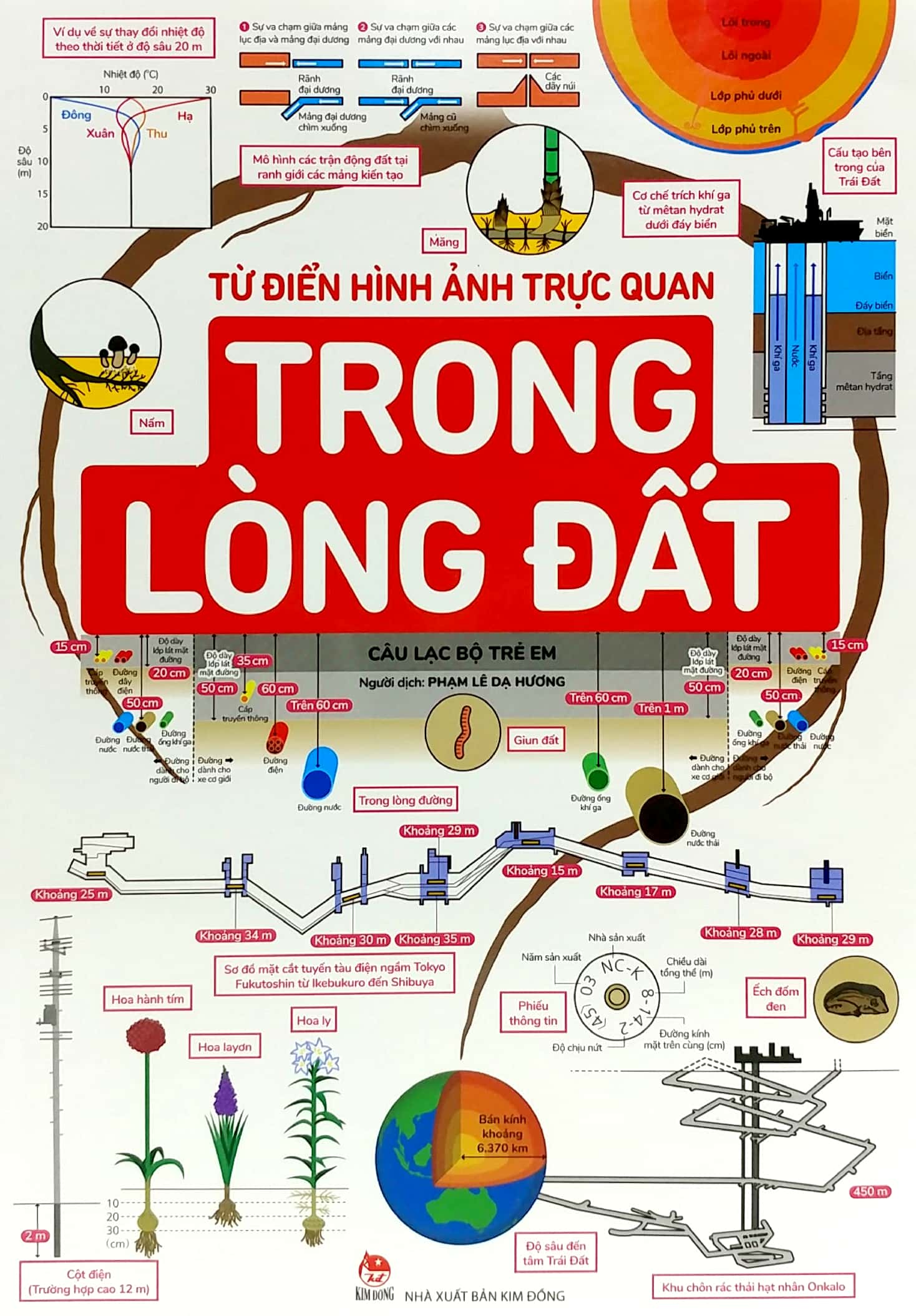 từ điển hình ảnh trực quan - trong lòng đất - Ảnh 2