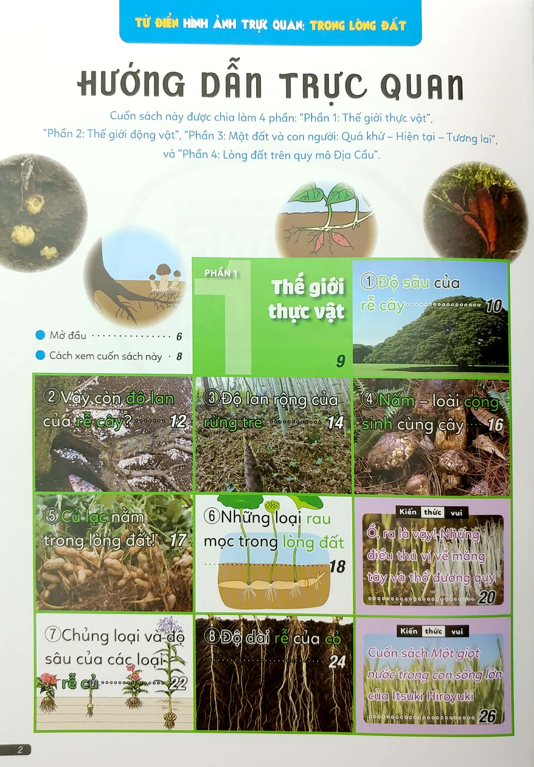 từ điển hình ảnh trực quan - trong lòng đất - Ảnh 3