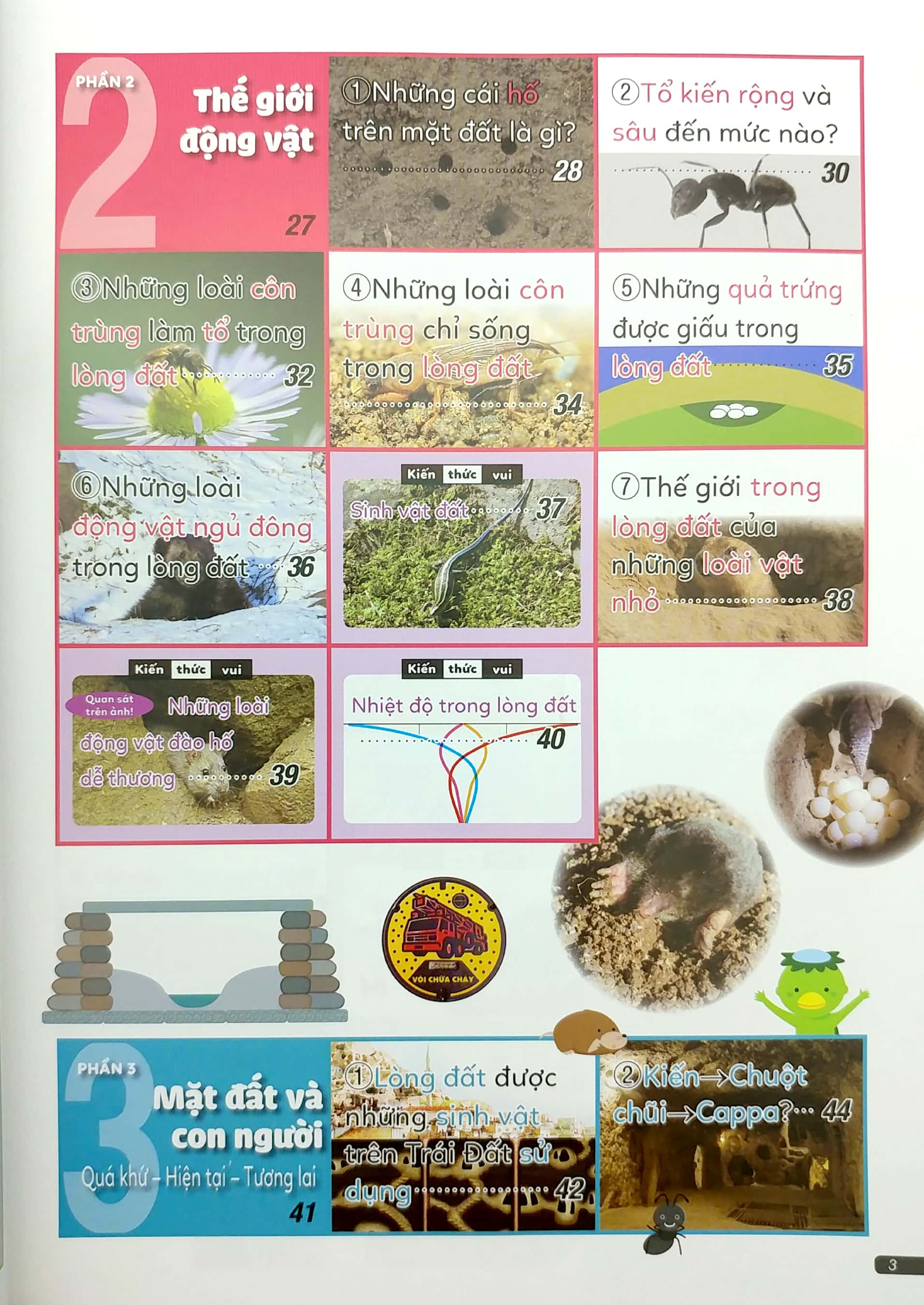 từ điển hình ảnh trực quan - trong lòng đất - Ảnh 4