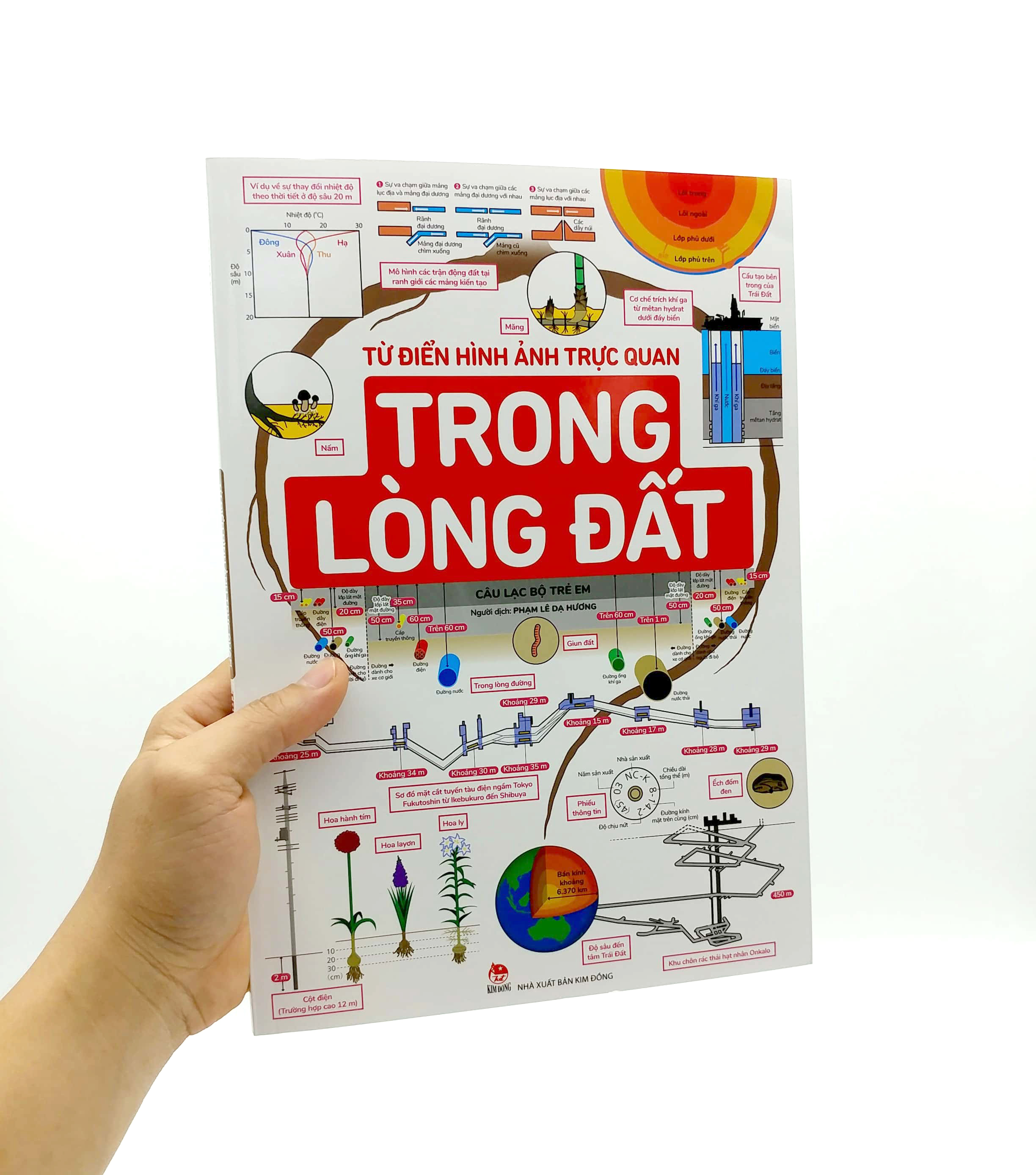 từ điển hình ảnh trực quan - trong lòng đất - Ảnh 7