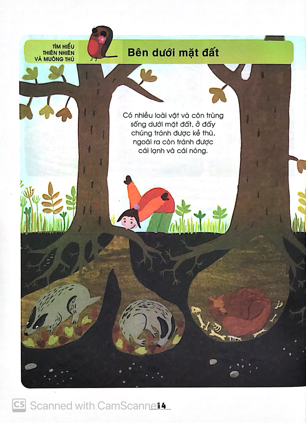 từ điển khoa học của bé - bé tập khám phá? - Ảnh 10