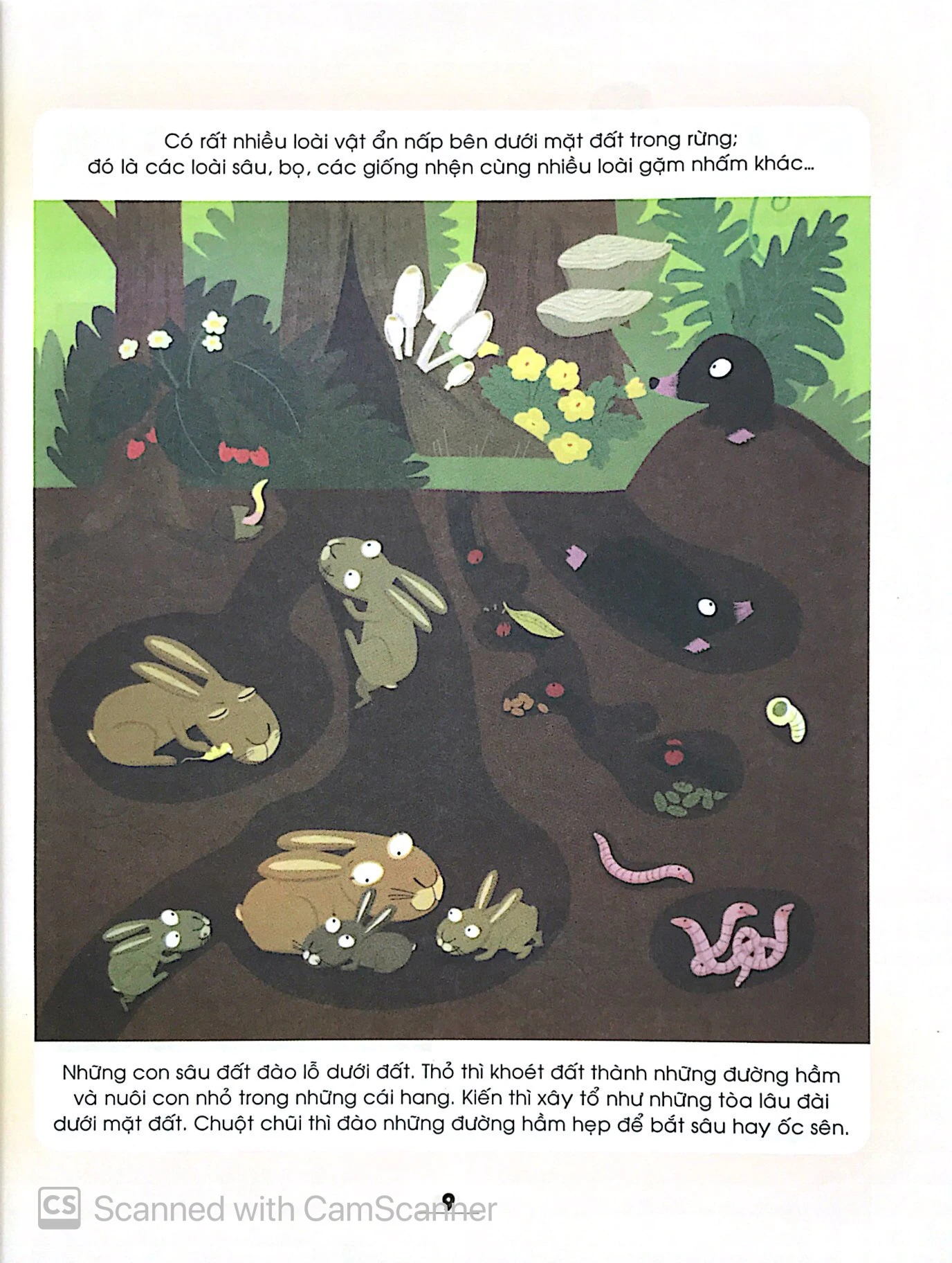 từ điển khoa học của bé - bé tập khám phá? - Ảnh 5