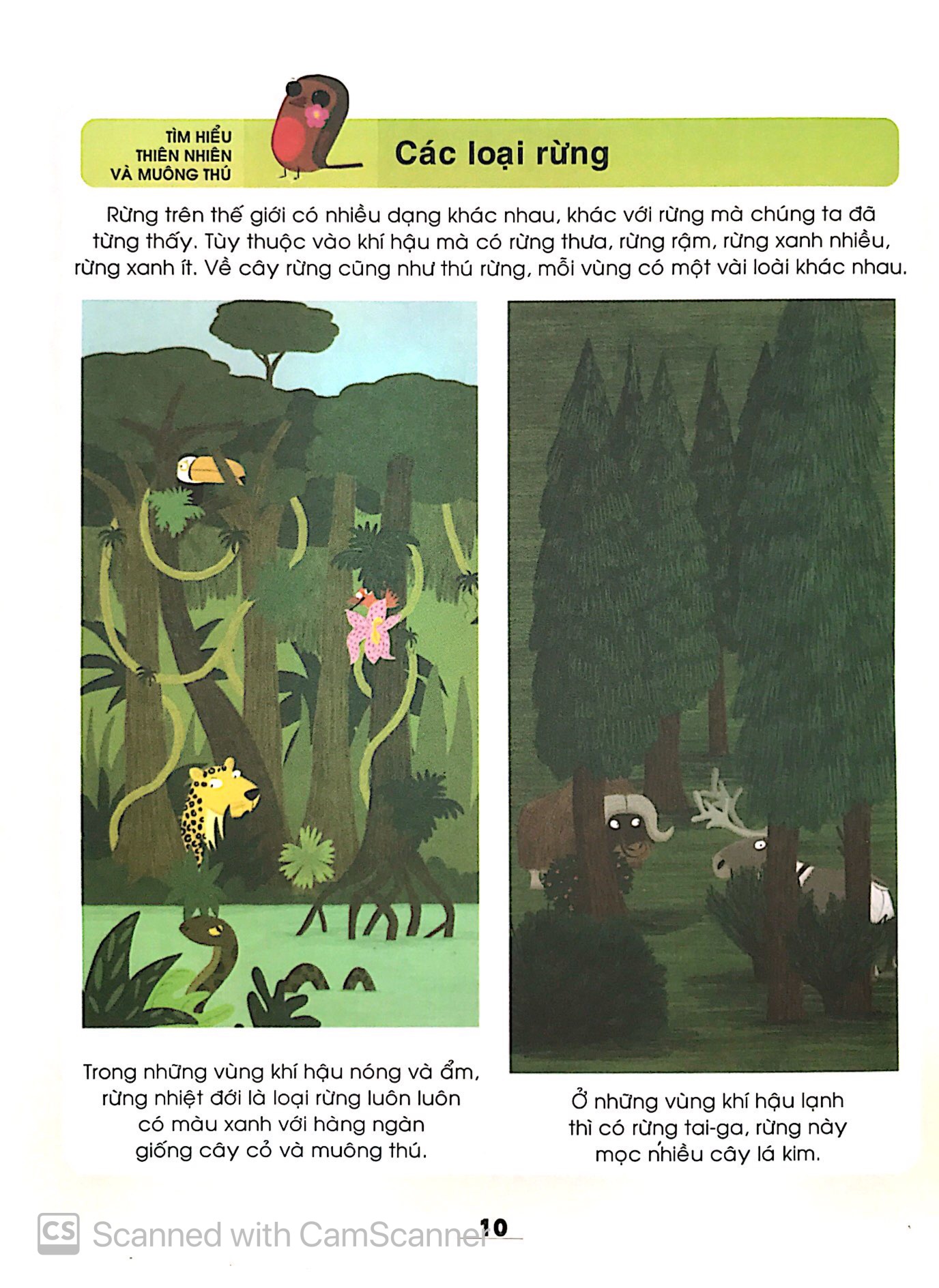 từ điển khoa học của bé - bé tập khám phá? - Ảnh 6