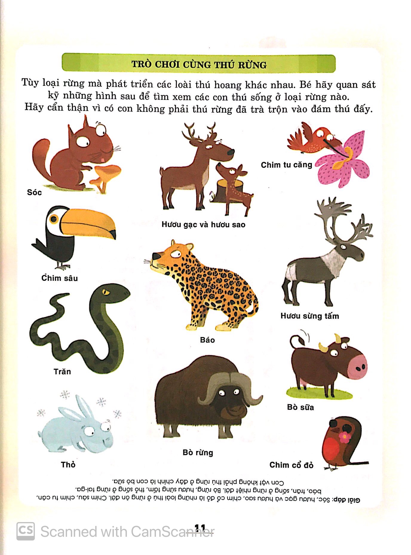 từ điển khoa học của bé - bé tập khám phá? - Ảnh 7