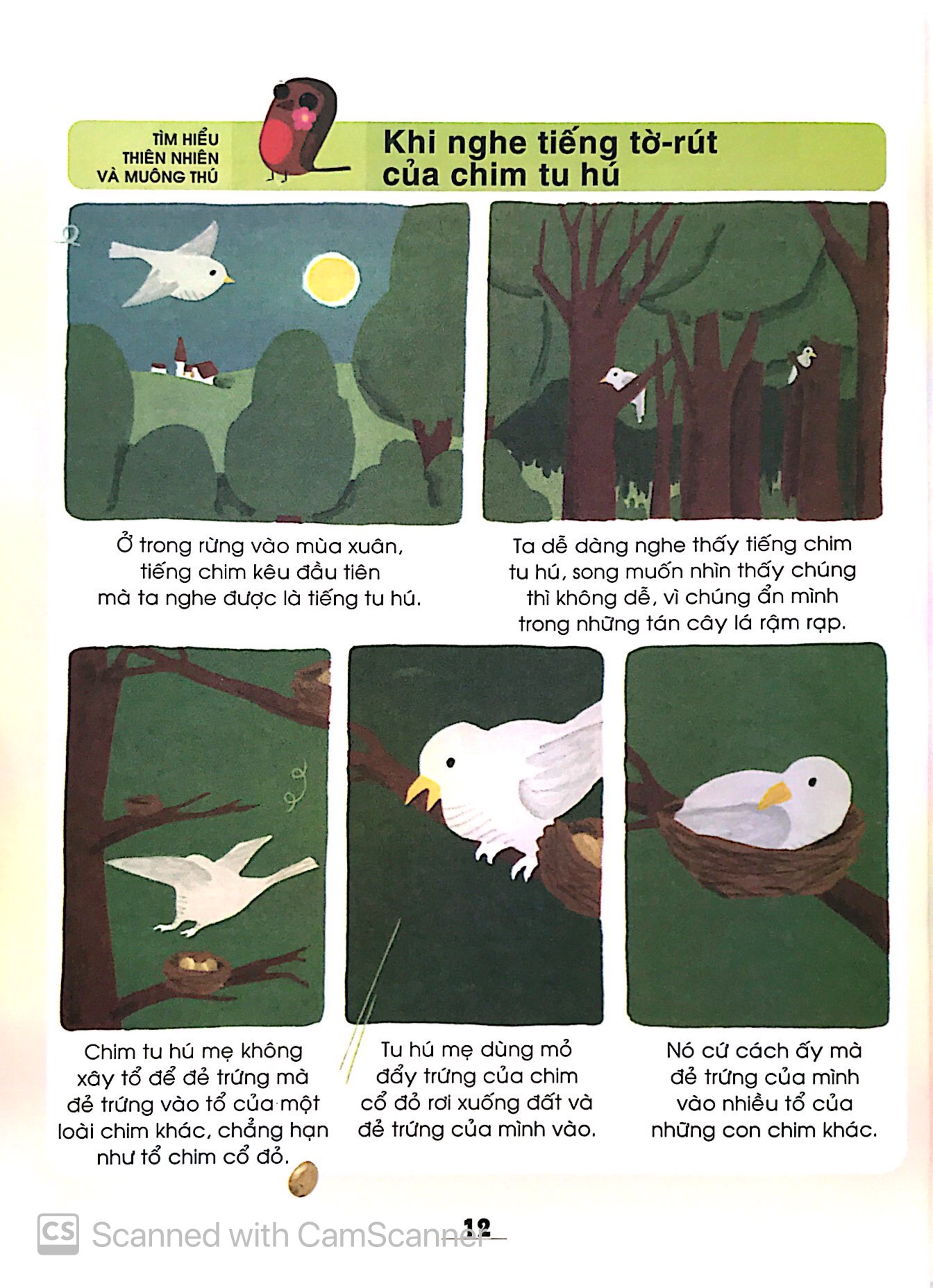 từ điển khoa học của bé - bé tập khám phá? - Ảnh 8