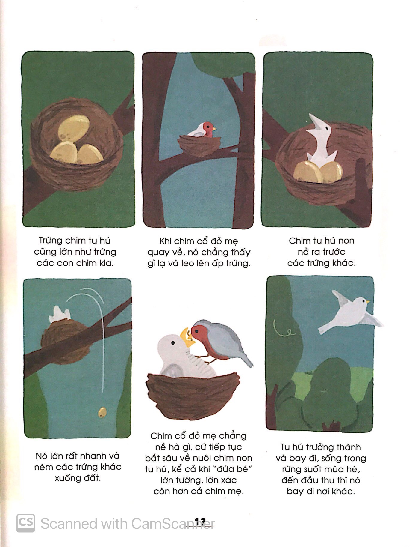 từ điển khoa học của bé - bé tập khám phá? - Ảnh 9