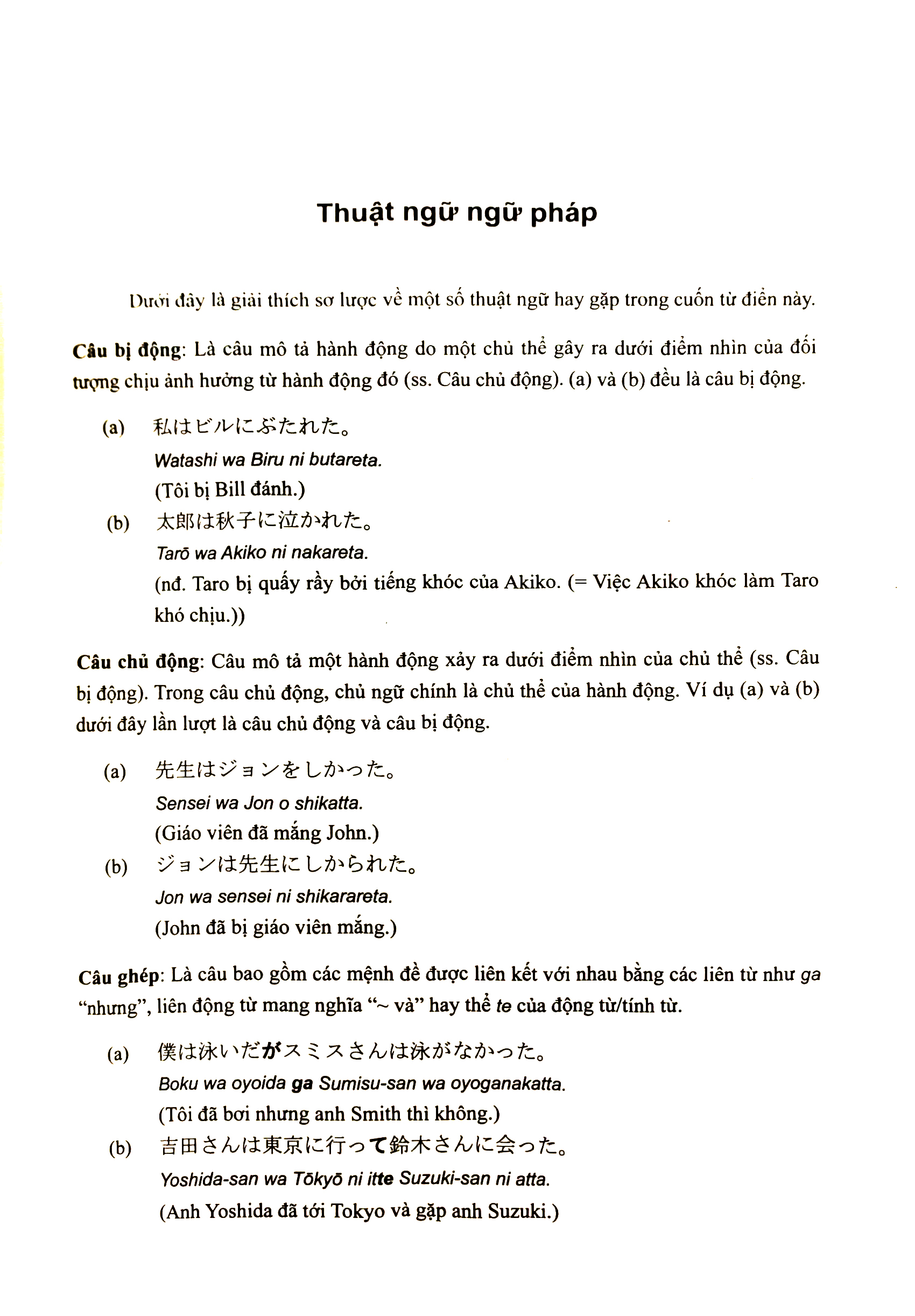 từ điển ngữ pháp tiếng nhật sơ cấp - Ảnh 11