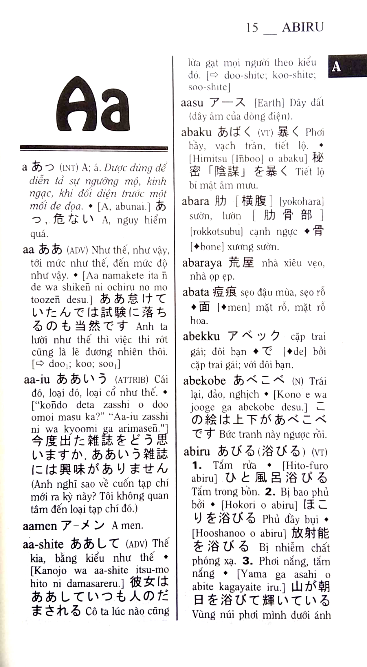 từ điển nhật-việt - việt-nhật (tái bản 2022) - Ảnh 4