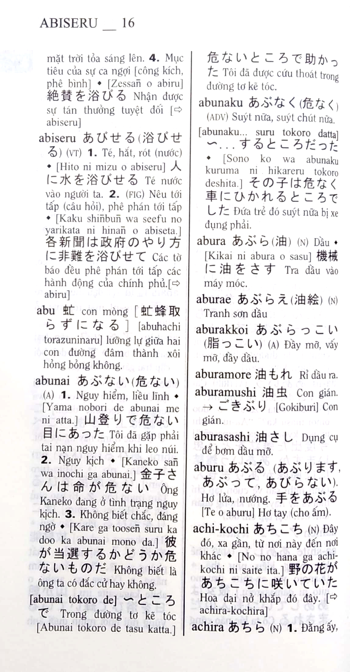 từ điển nhật-việt - việt-nhật (tái bản 2022) - Ảnh 5