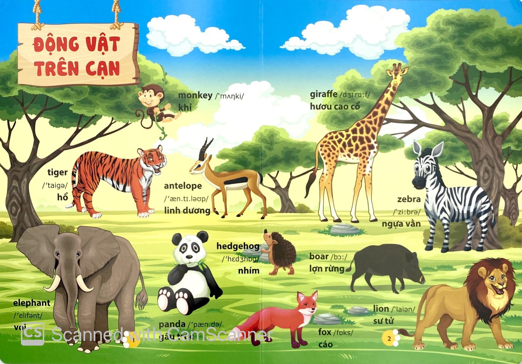 từ điển phát triển ngôn ngữ bằng hình dành cho trẻ mầm non - chủ đề: động vật - Ảnh 3