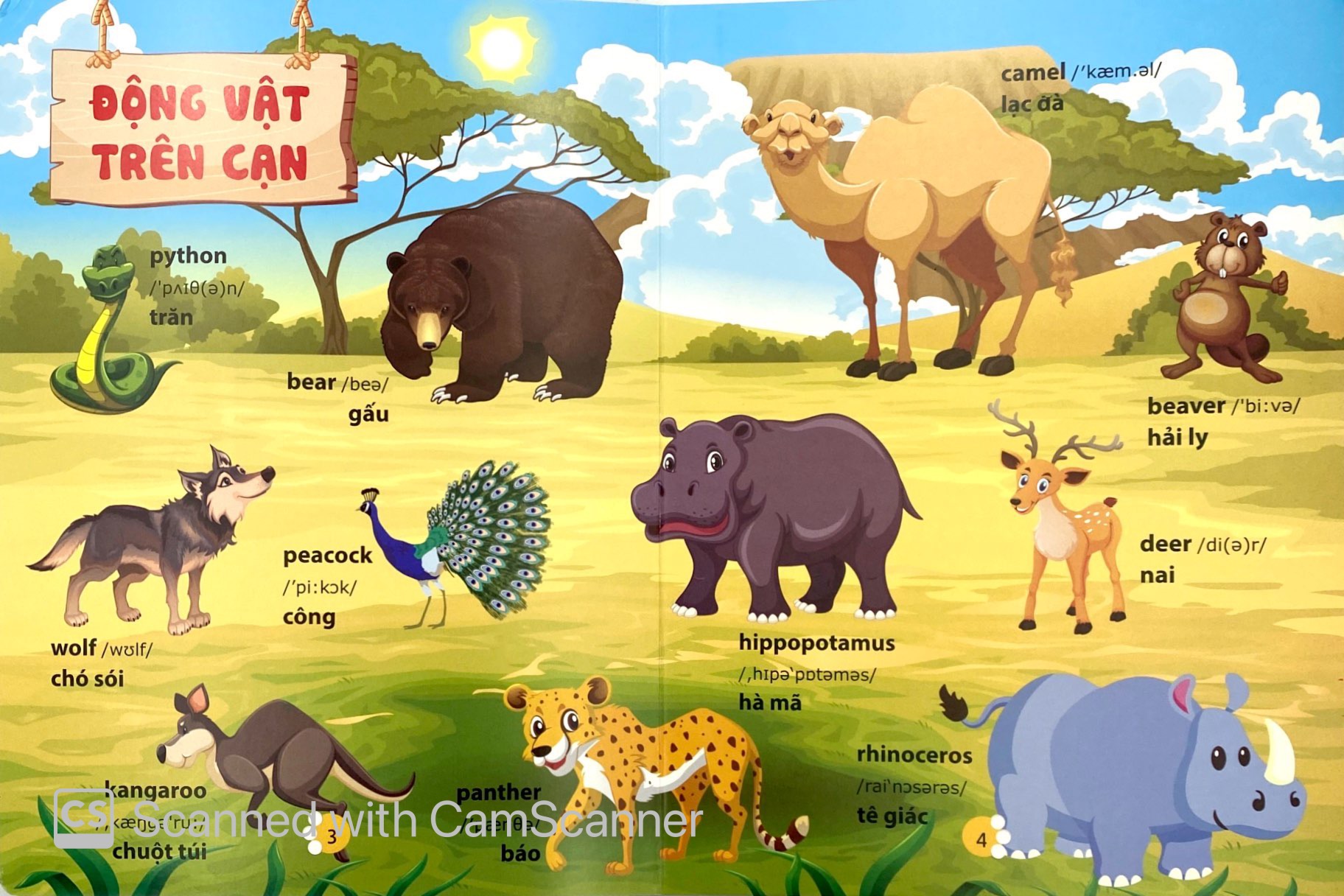 từ điển phát triển ngôn ngữ bằng hình dành cho trẻ mầm non - chủ đề: động vật - Ảnh 4