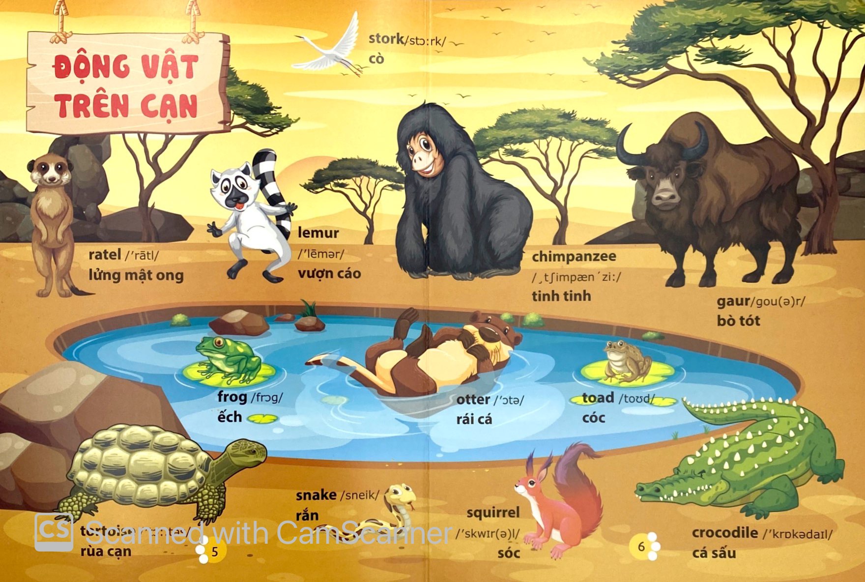 từ điển phát triển ngôn ngữ bằng hình dành cho trẻ mầm non - chủ đề: động vật - Ảnh 5