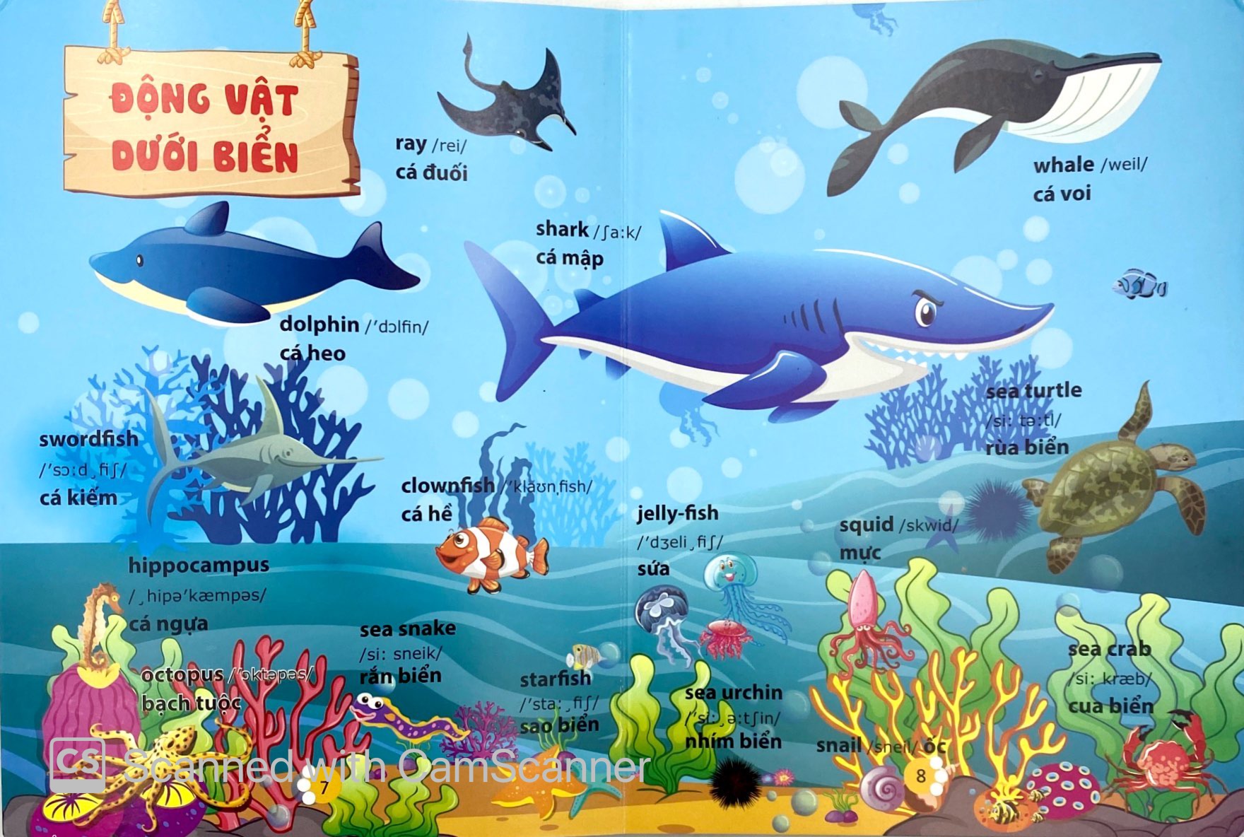 từ điển phát triển ngôn ngữ bằng hình dành cho trẻ mầm non - chủ đề: động vật - Ảnh 6