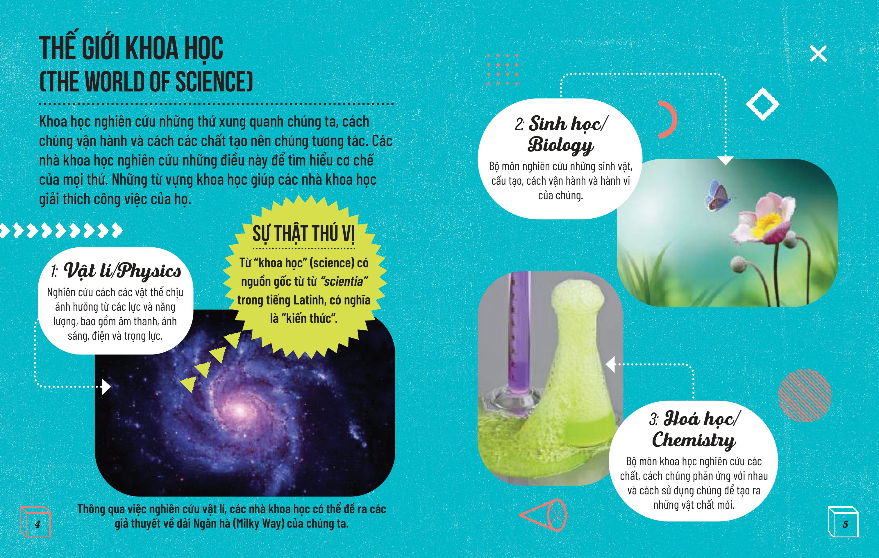 từ điển steam song ngữ - khoa học - Ảnh 5