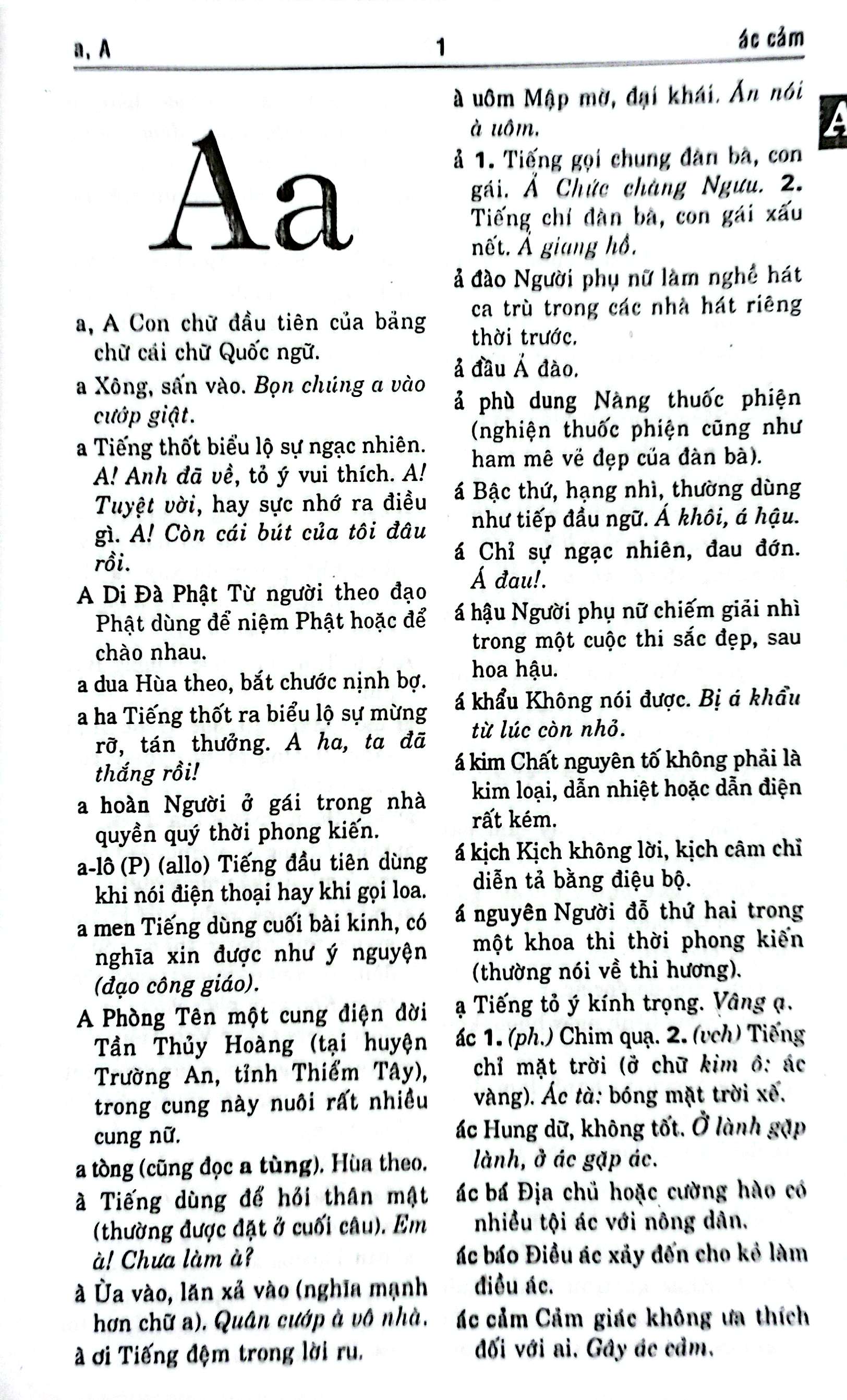 Từ Điển Tiếng Việt 65.000 Từ - Ảnh 4