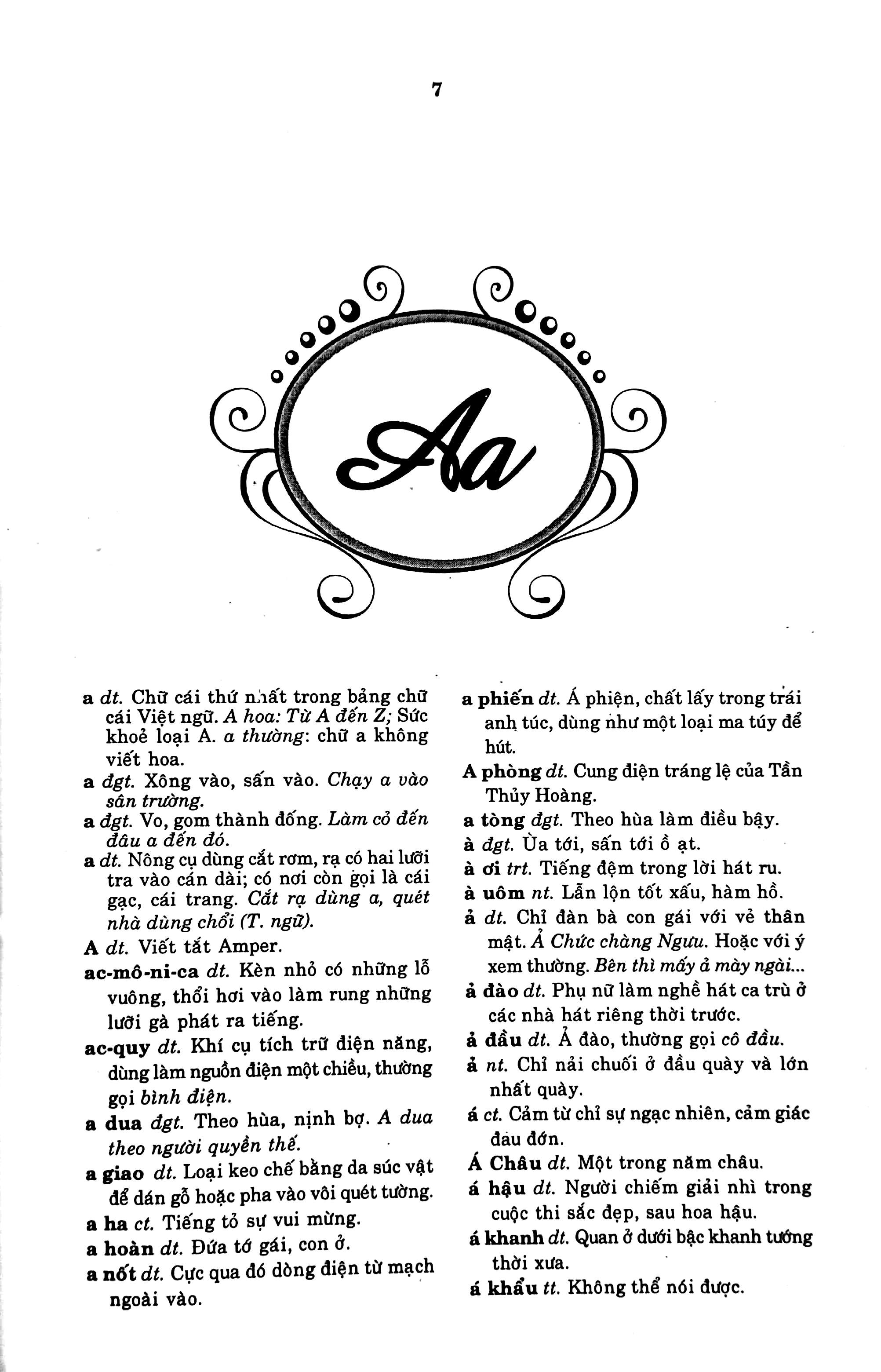 từ điển tiếng việt - bìa cứng - Ảnh 5