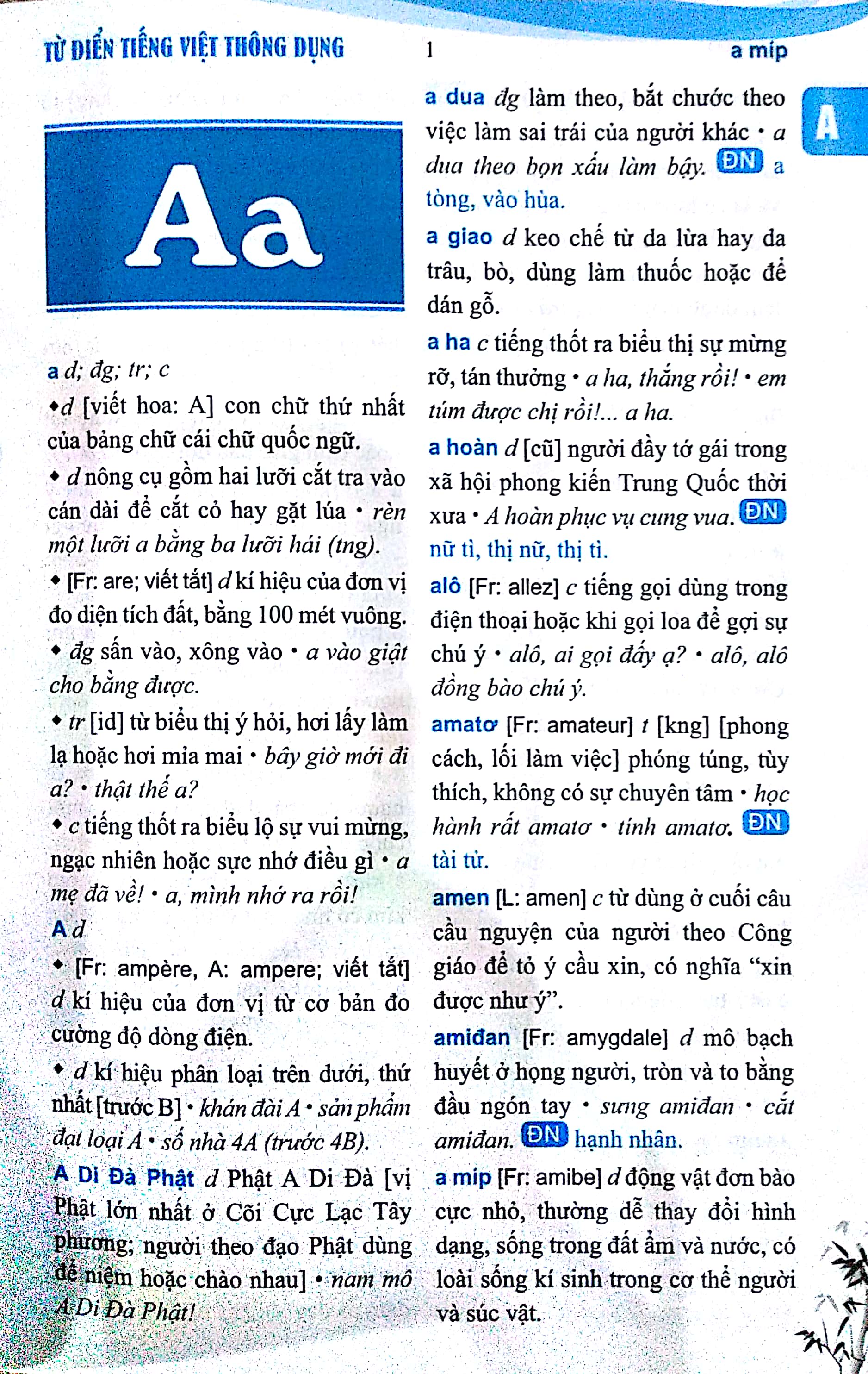 từ điển tiếng việt thông dụng - Ảnh 3