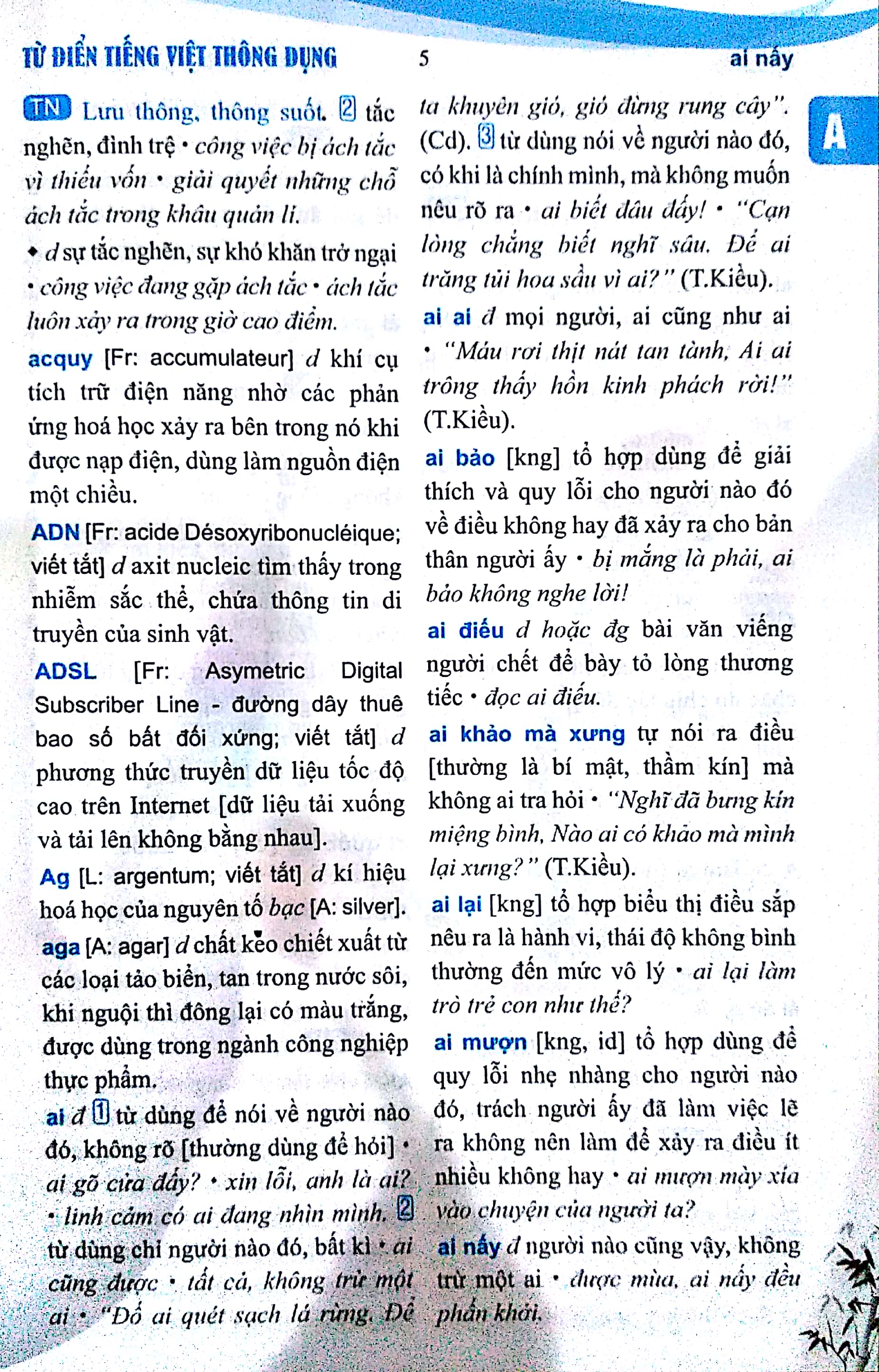 từ điển tiếng việt thông dụng - Ảnh 7