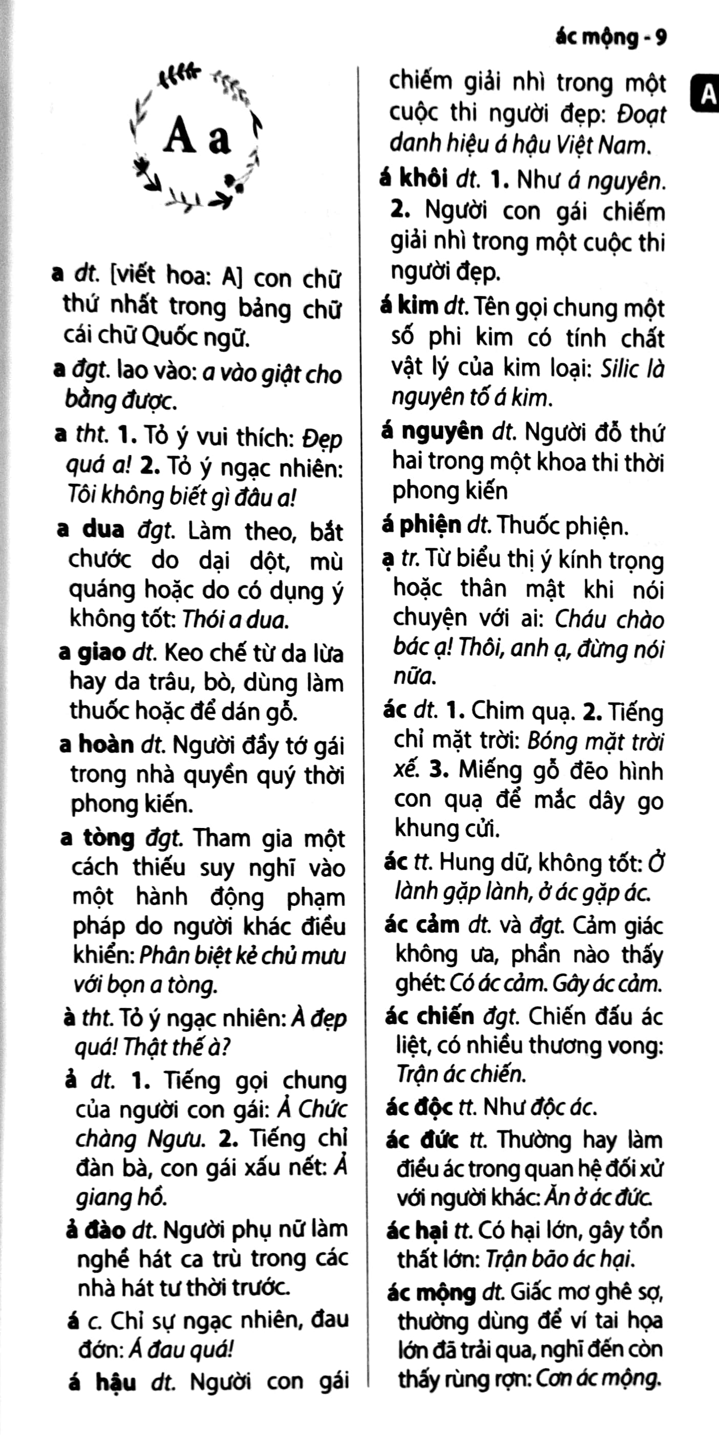 từ điển tiếng việt thông dụng - tái bản khổ to - Ảnh 5