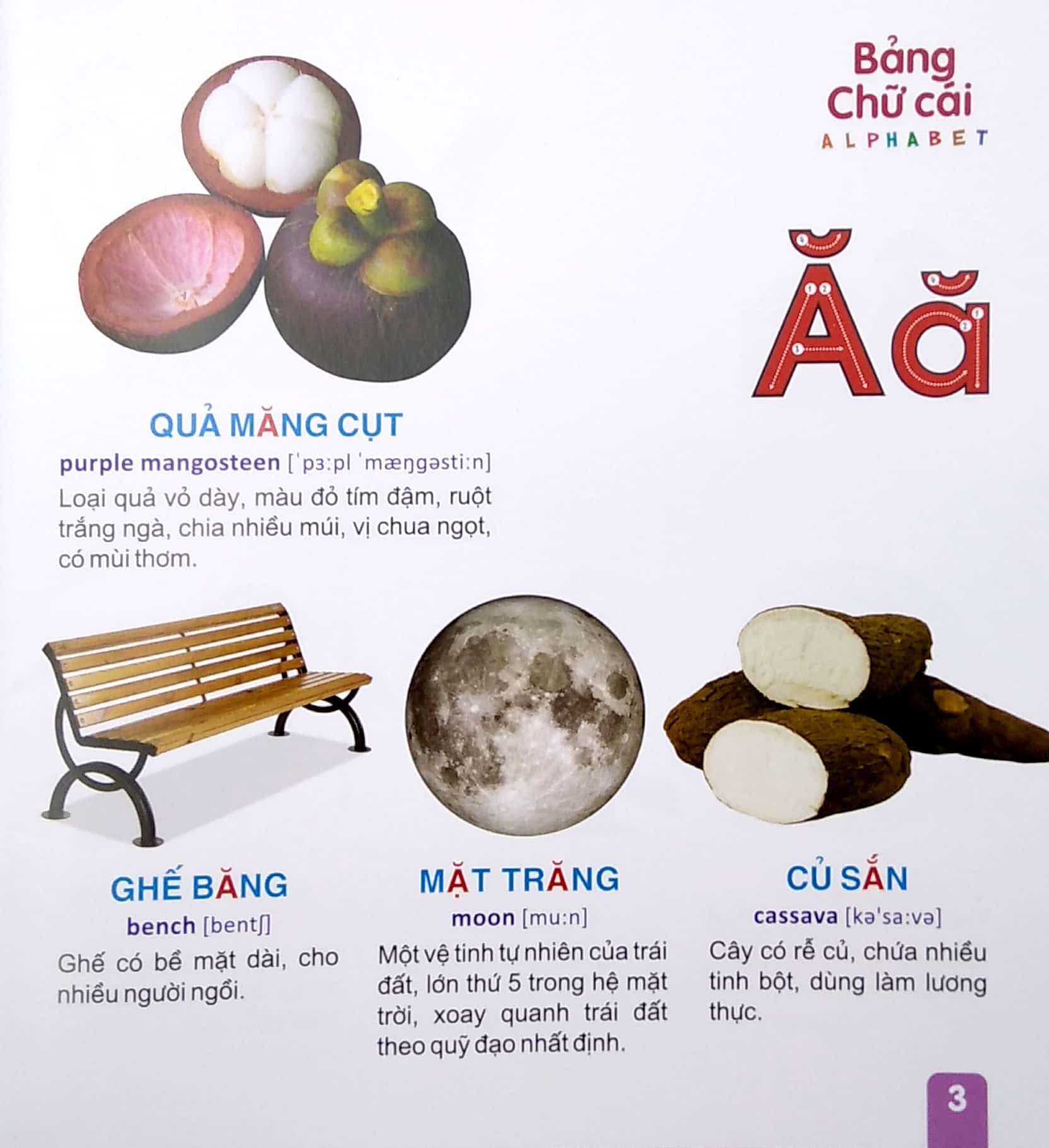 từ điển tranh - bảng chữ cái (dành cho thiếu nhi) (2022) - Ảnh 4