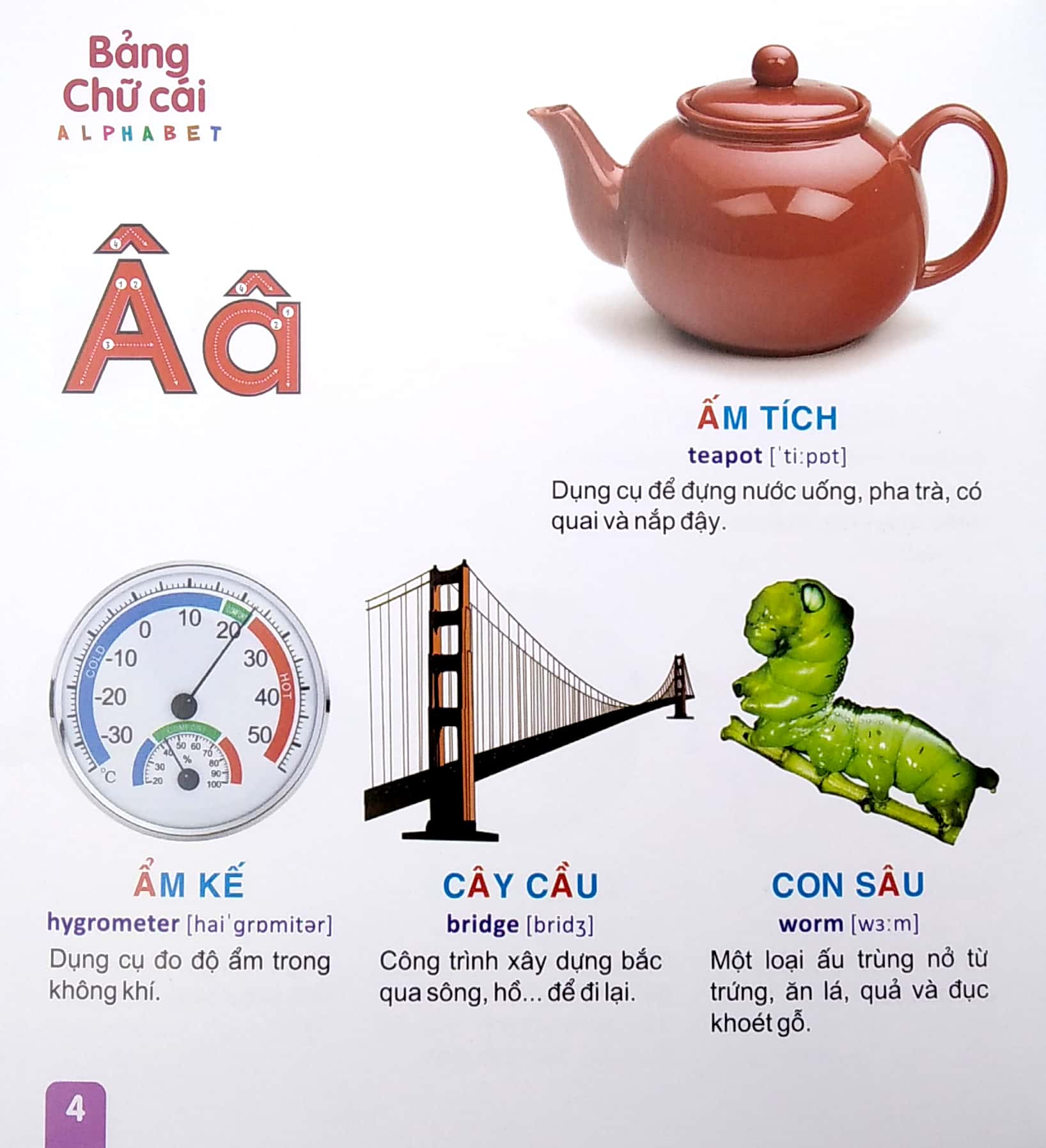từ điển tranh - bảng chữ cái (dành cho thiếu nhi) (2022) - Ảnh 5