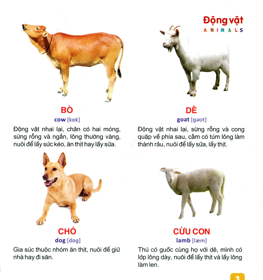 từ điển tranh dành cho thiếu nhi - động vật, cá - Ảnh 4