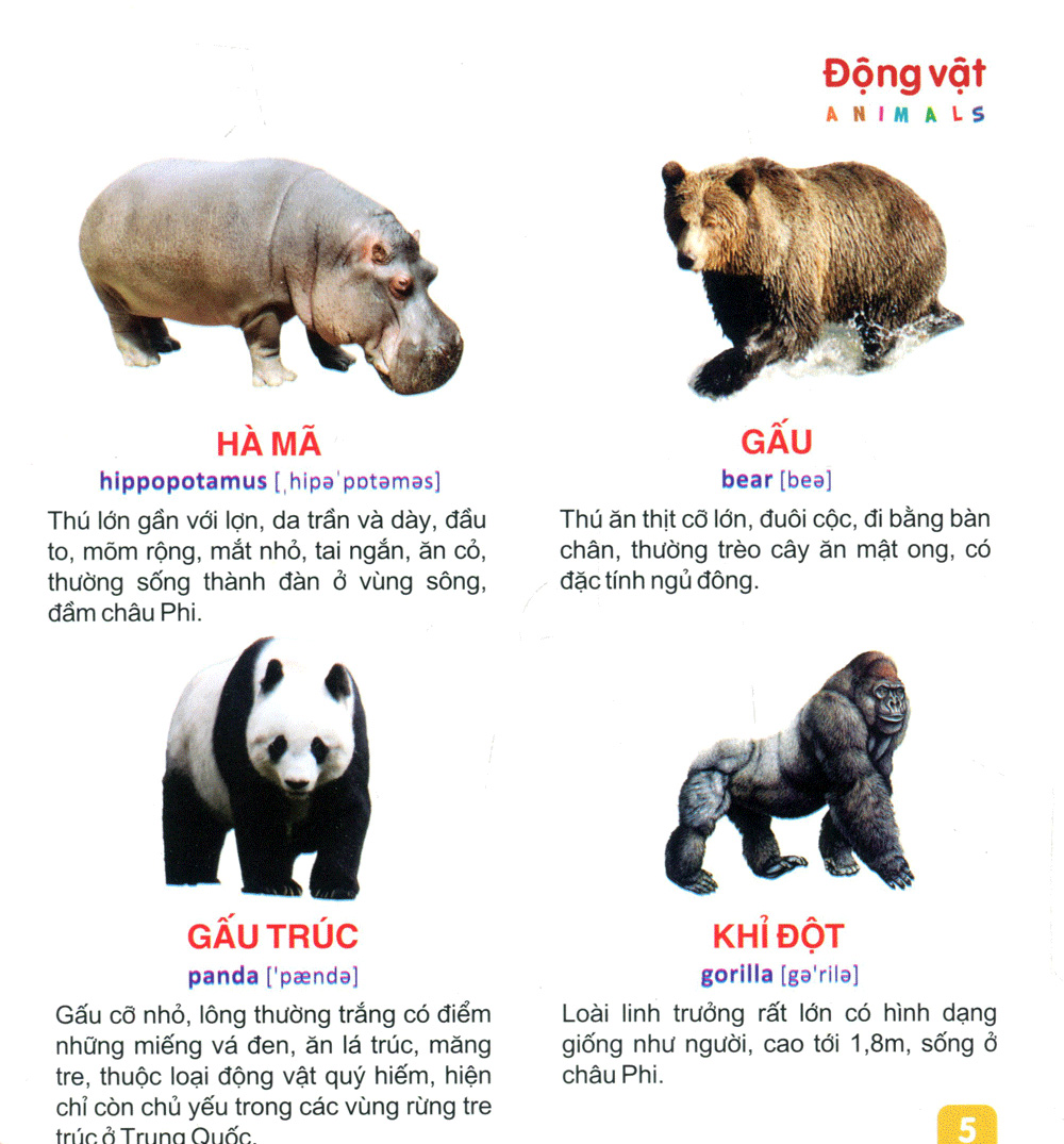 từ điển tranh dành cho thiếu nhi - động vật, cá - Ảnh 6