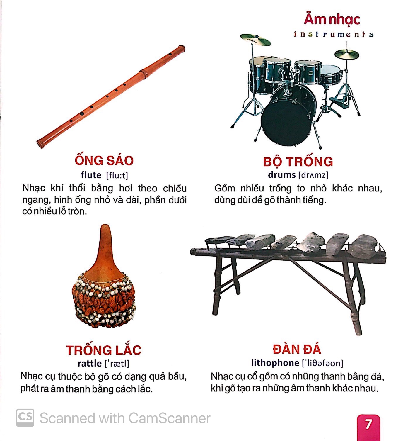 từ điển tranh dành cho thiếu nhi - giao thông, thể thao, âm nhạc - Ảnh 8