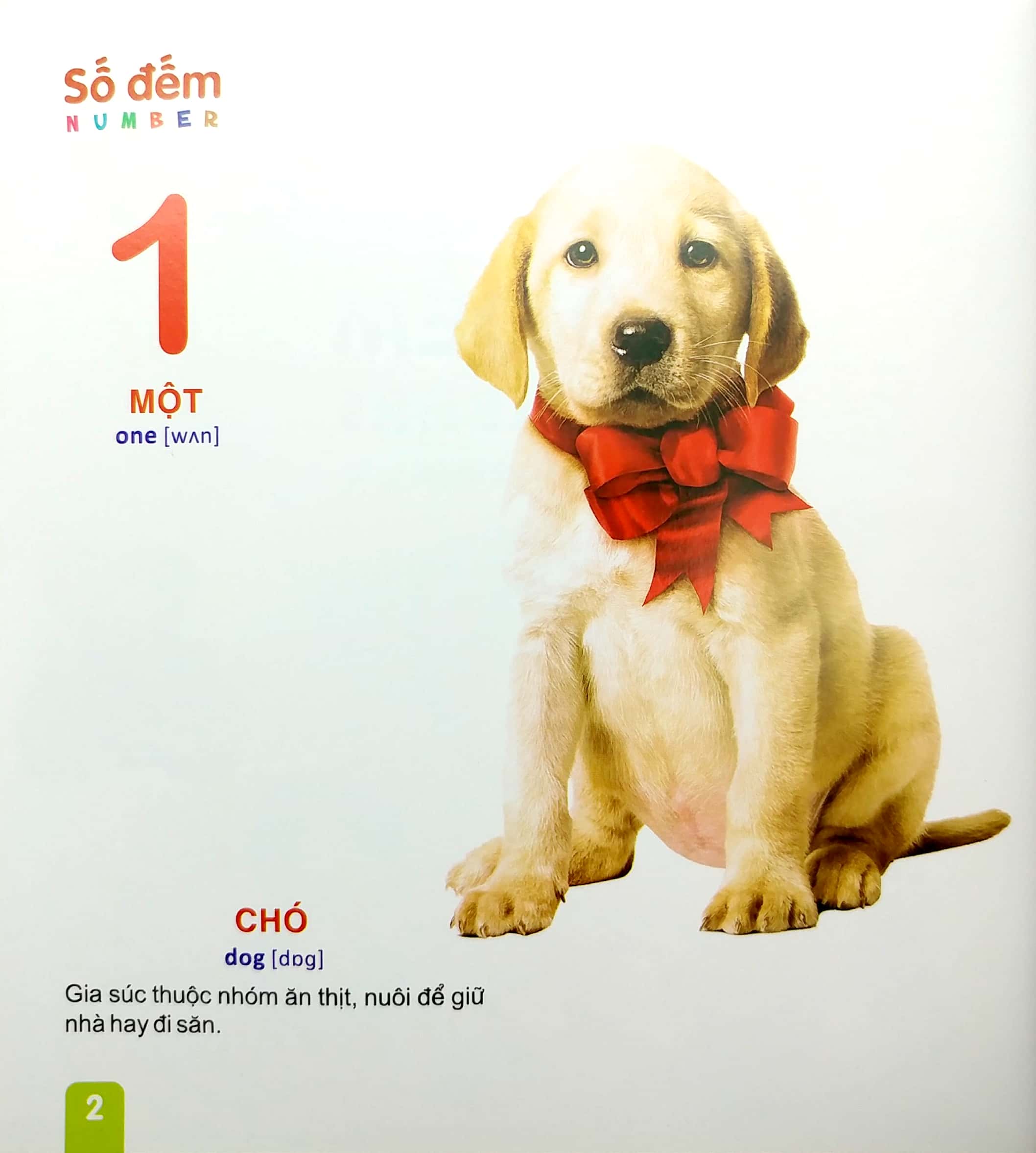 từ điển tranh - dành cho thiếu nhi: số đếm (2022) - Ảnh 3